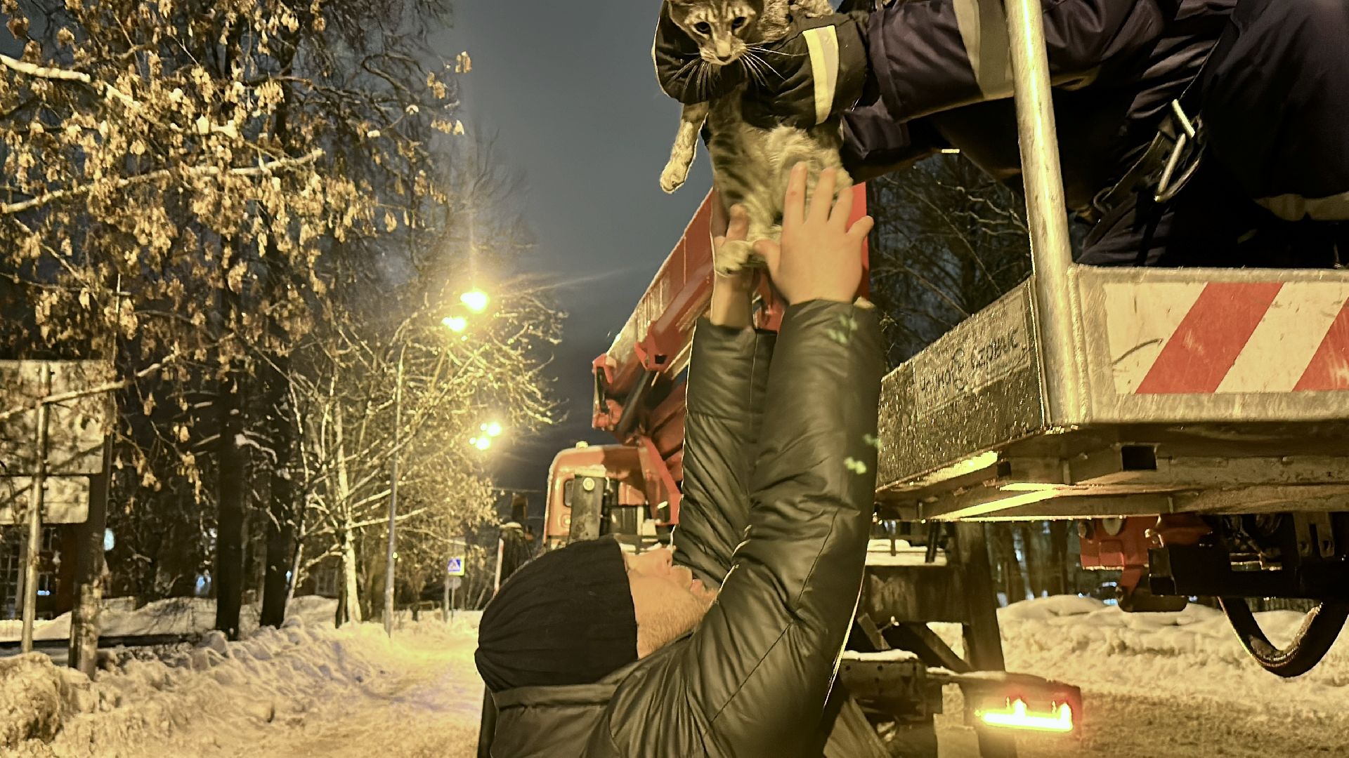 Клин, общество, спасатели, животные,