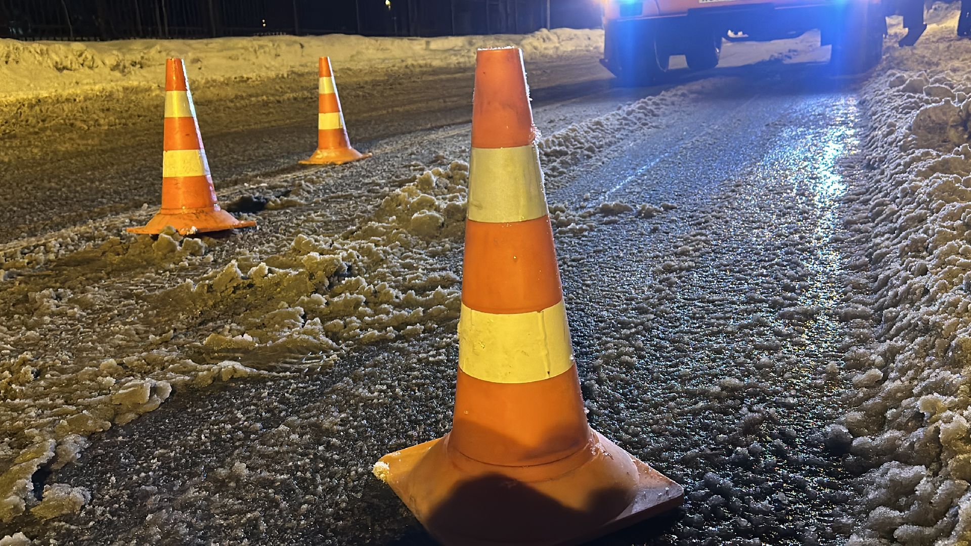 Клин, общество, спасатели, животные,