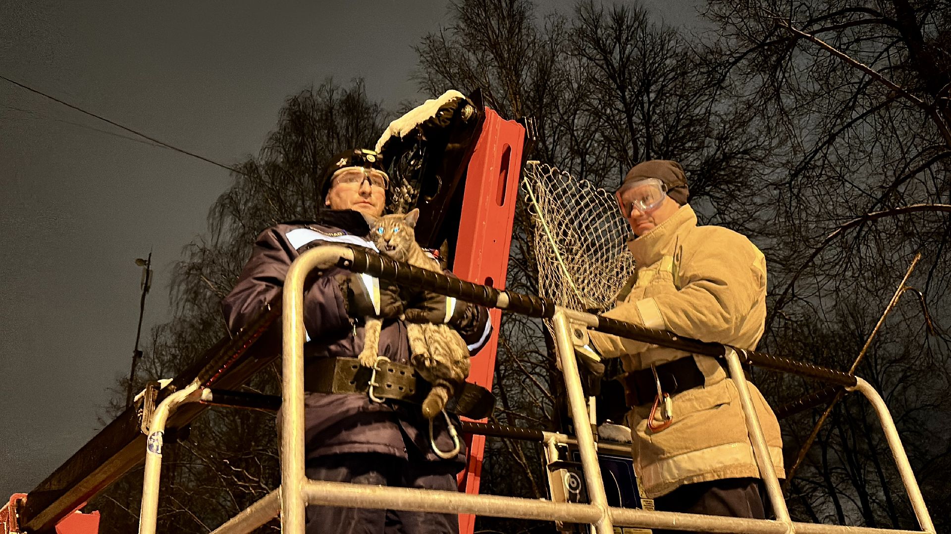 Клин, общество, спасатели, животные,