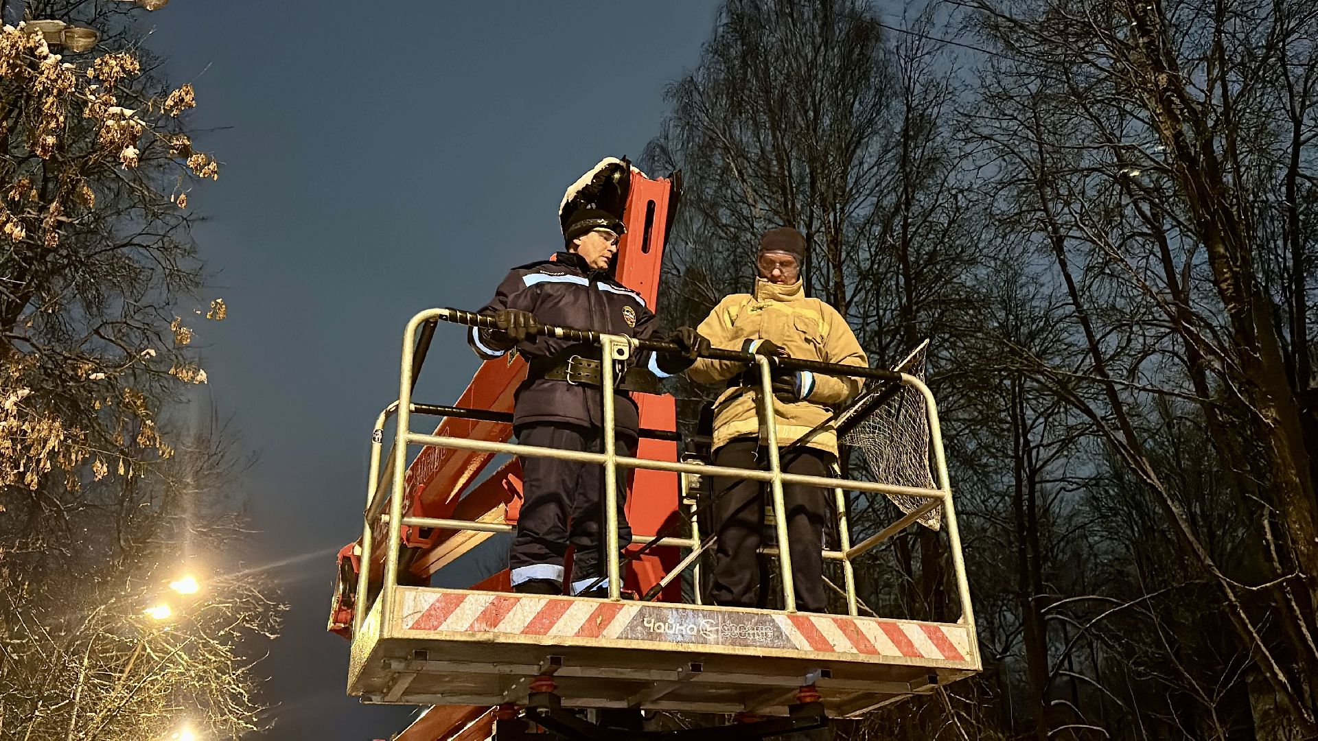 Клин, общество, спасатели, животные,