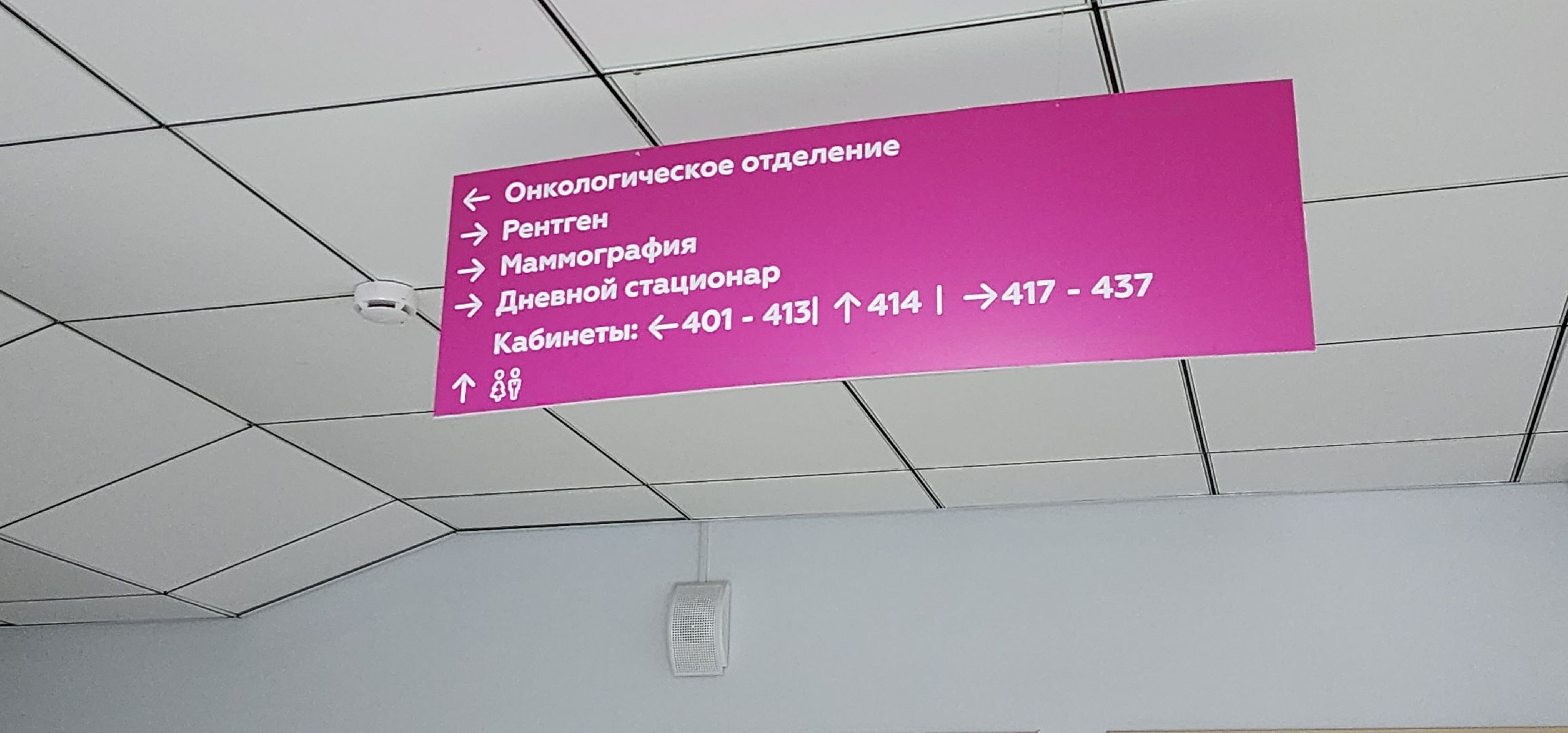 День борьбы в раком, Центр онкологической помощи, Проверка здоровья, диспансеризация, Домодедовская больница,