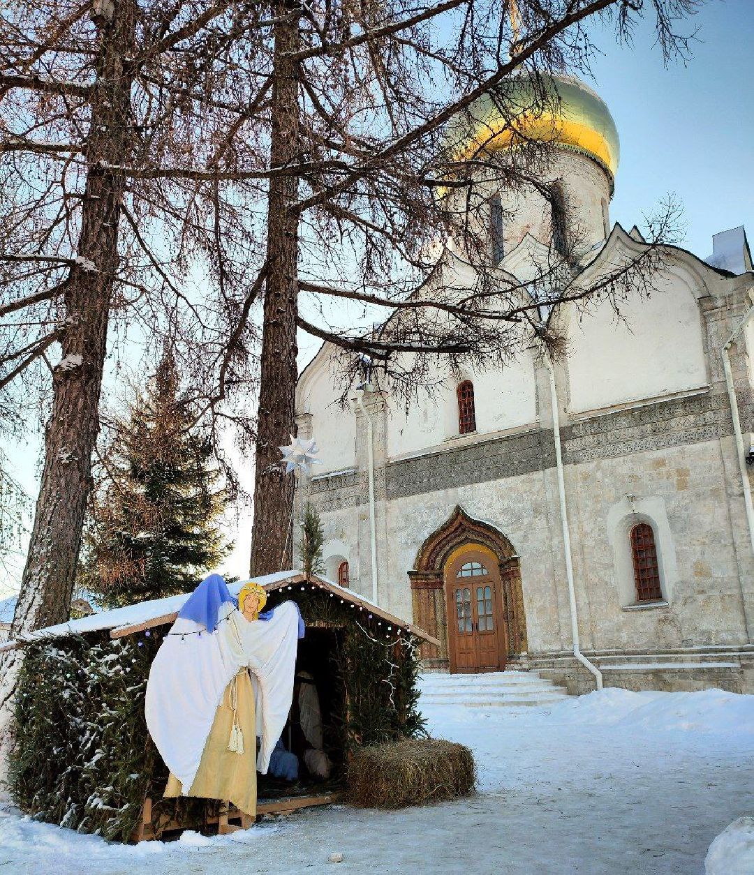 Звенигород, общество