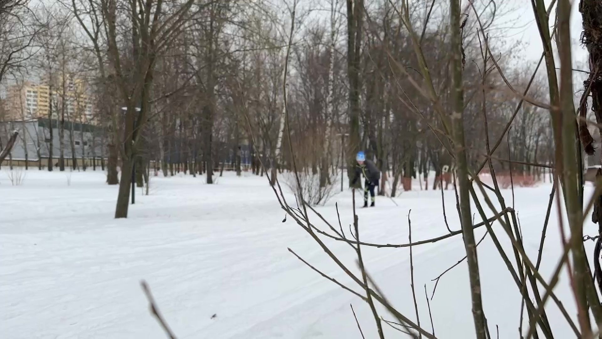 Реутов, лыжи, Австрия, Людмила Колобанова, гонки, марафон,