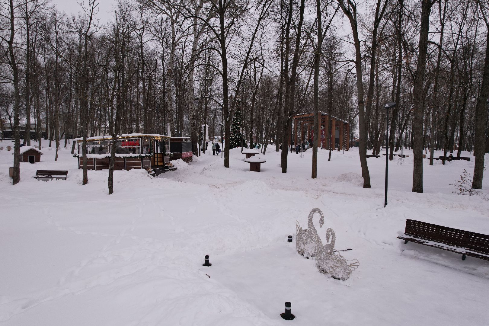 видео с коптера, парк, серпухов,