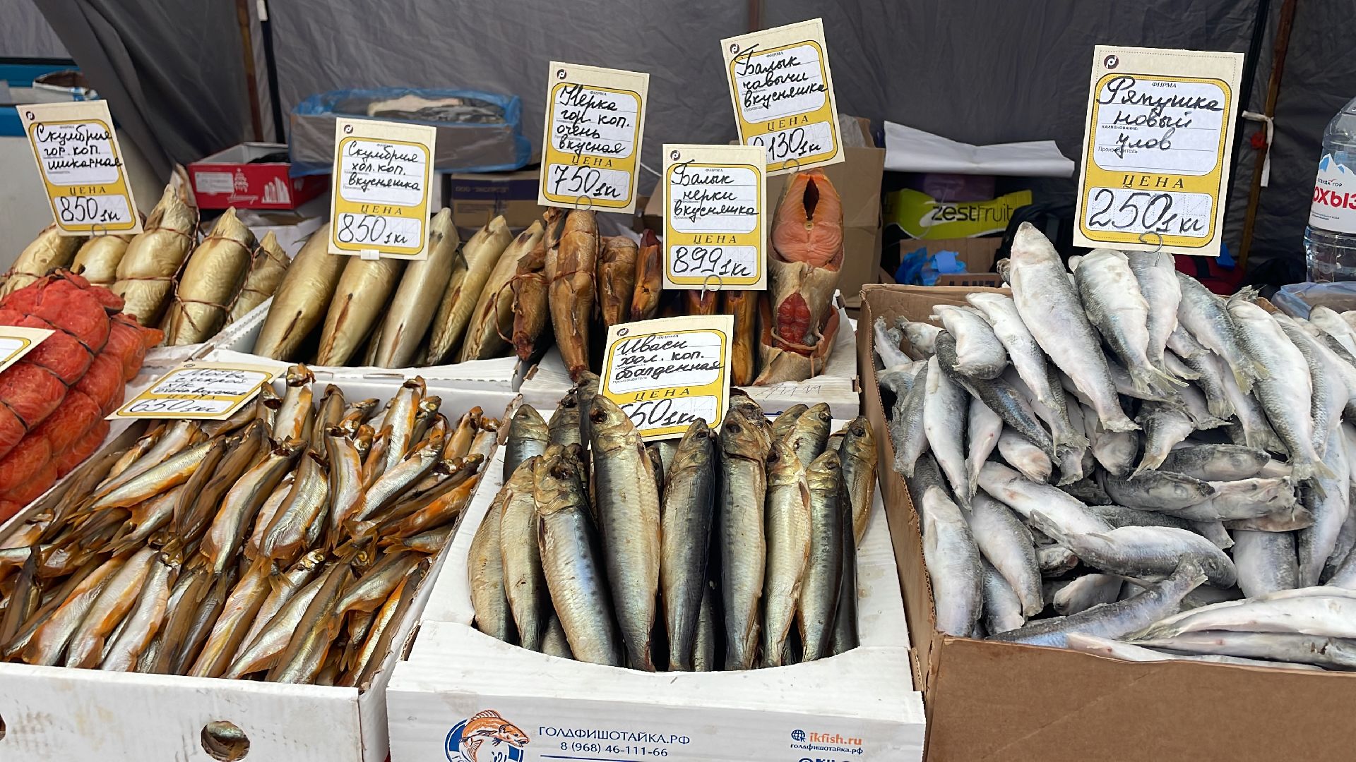 волоколамск, ярмарка,