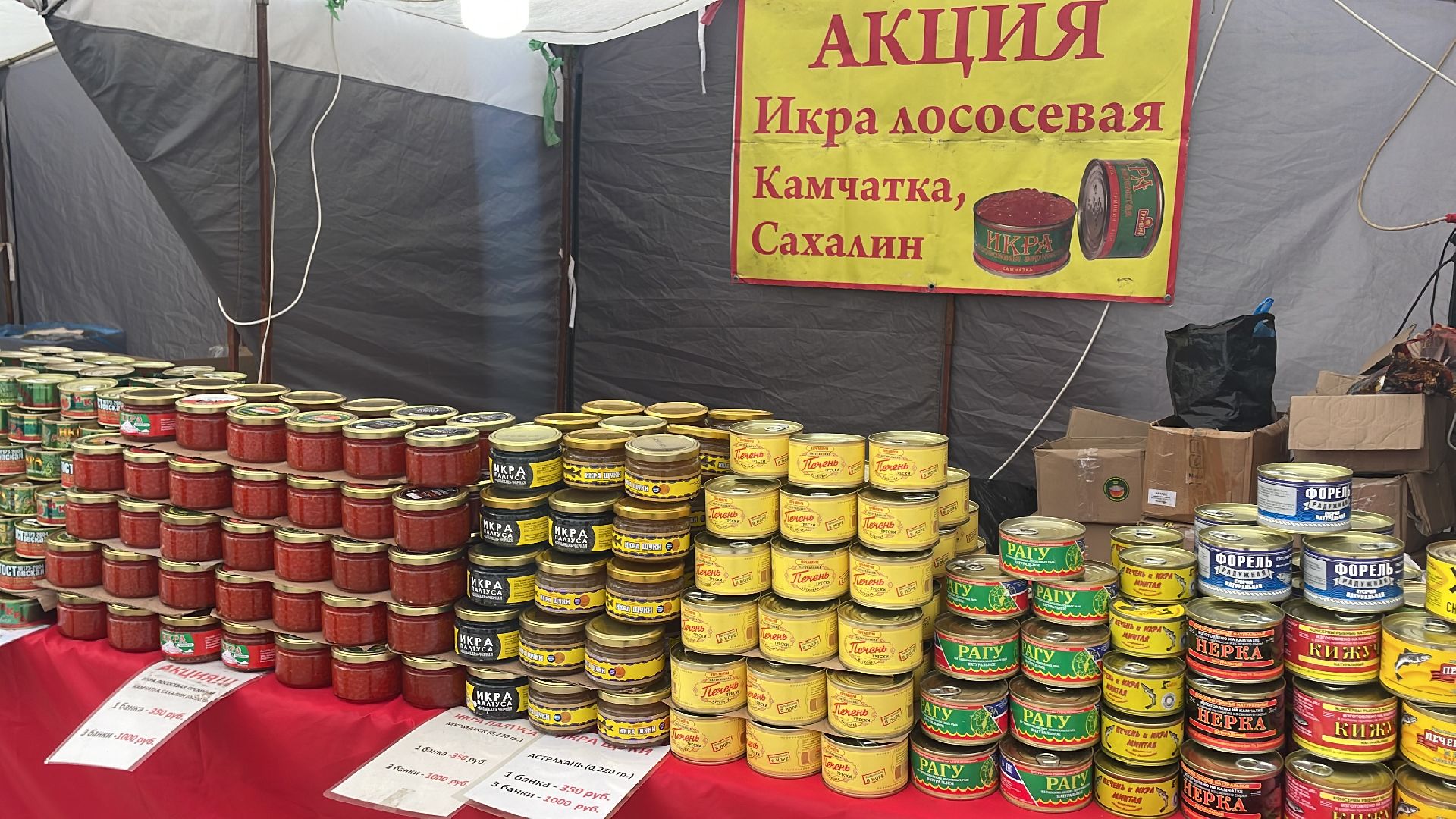 волоколамск, ярмарка,