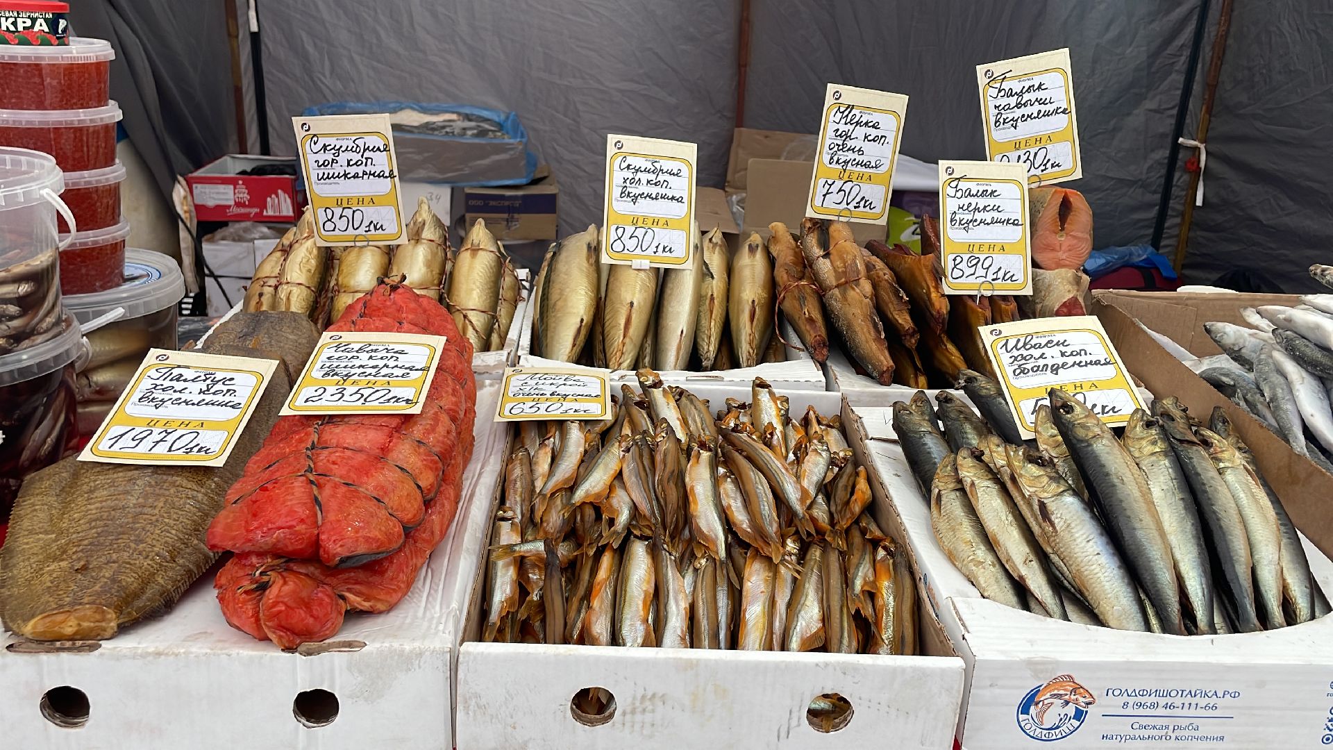 волоколамск, ярмарка,