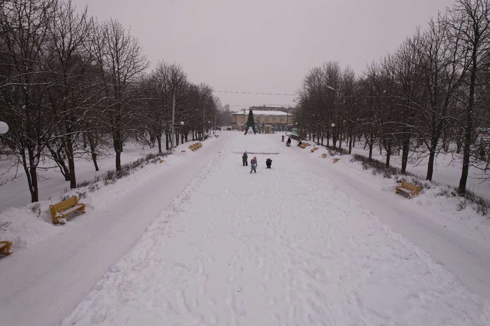видео с коптера, питомник, парк, серпухов,
