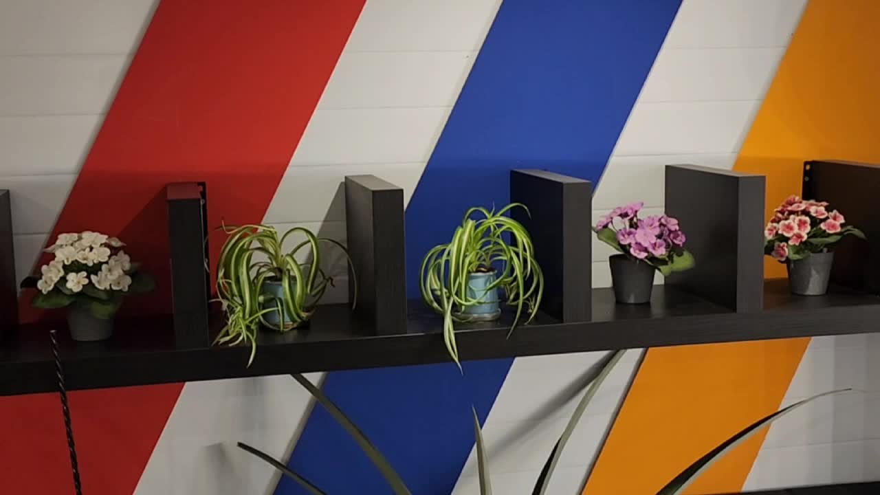 /mediabank_mount//30533/683c03d7873058eb1dc115e424d78a4f.jpg