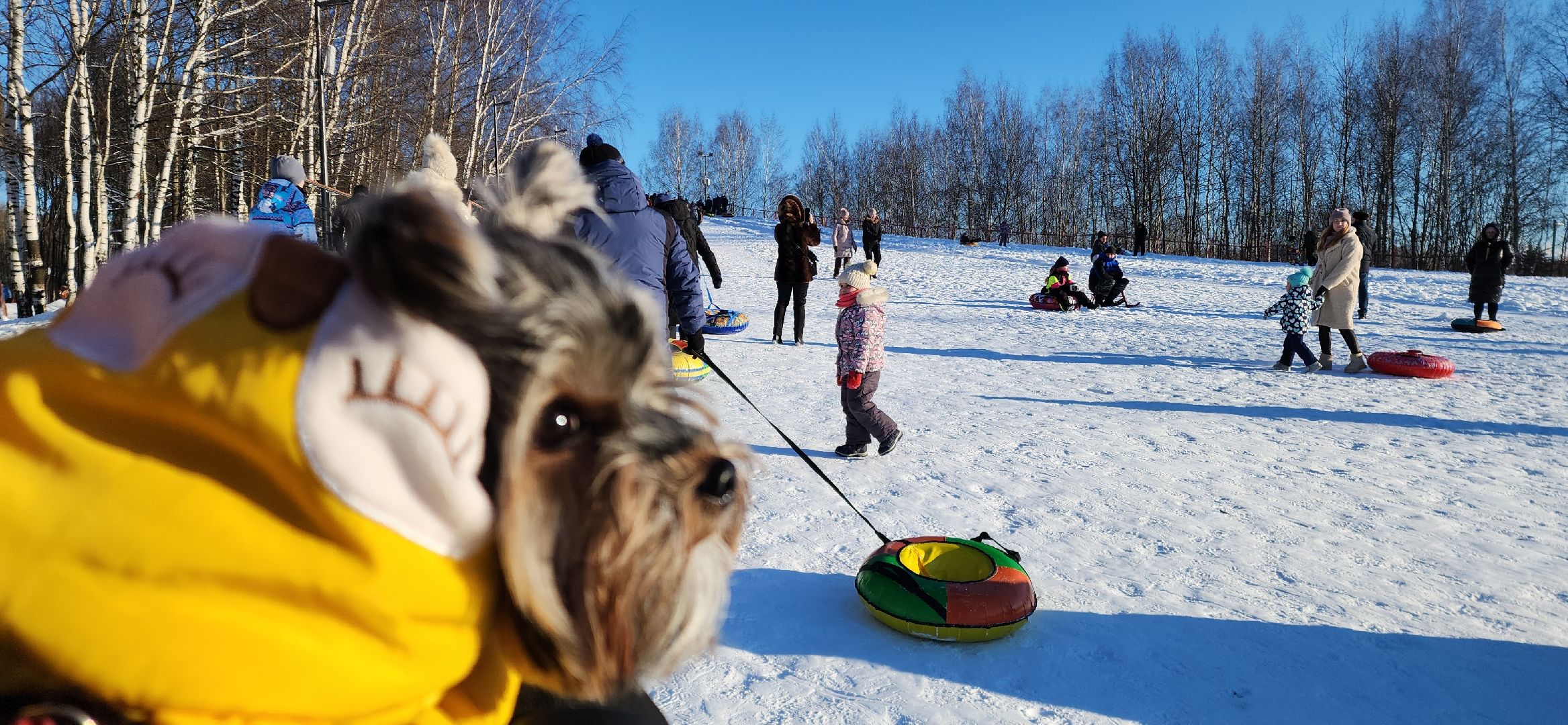 электросталь, парк, снежная горка, зима, зима 2024, зима в парках, зима в подмосковье, безопасность детей,