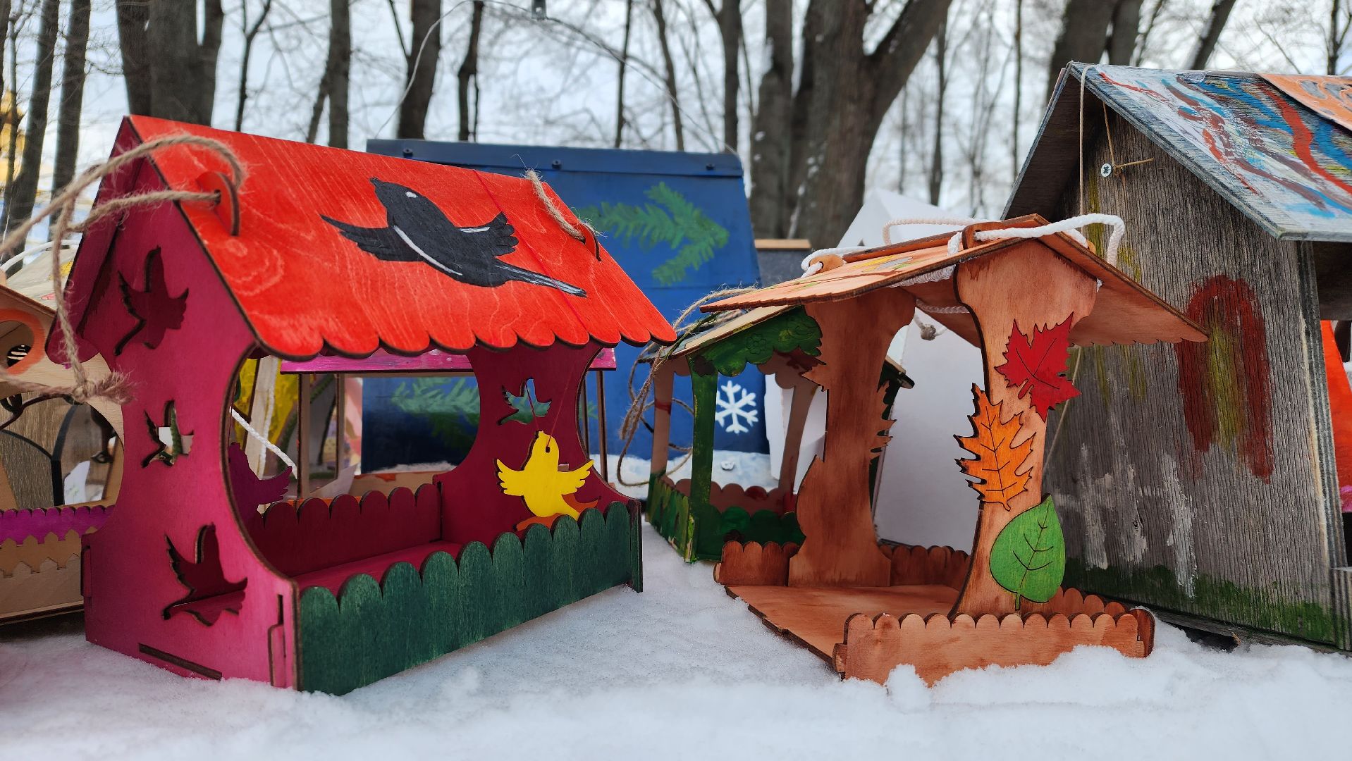 покормите птиц зимой, экологическая акция, Лосино-Петровский,