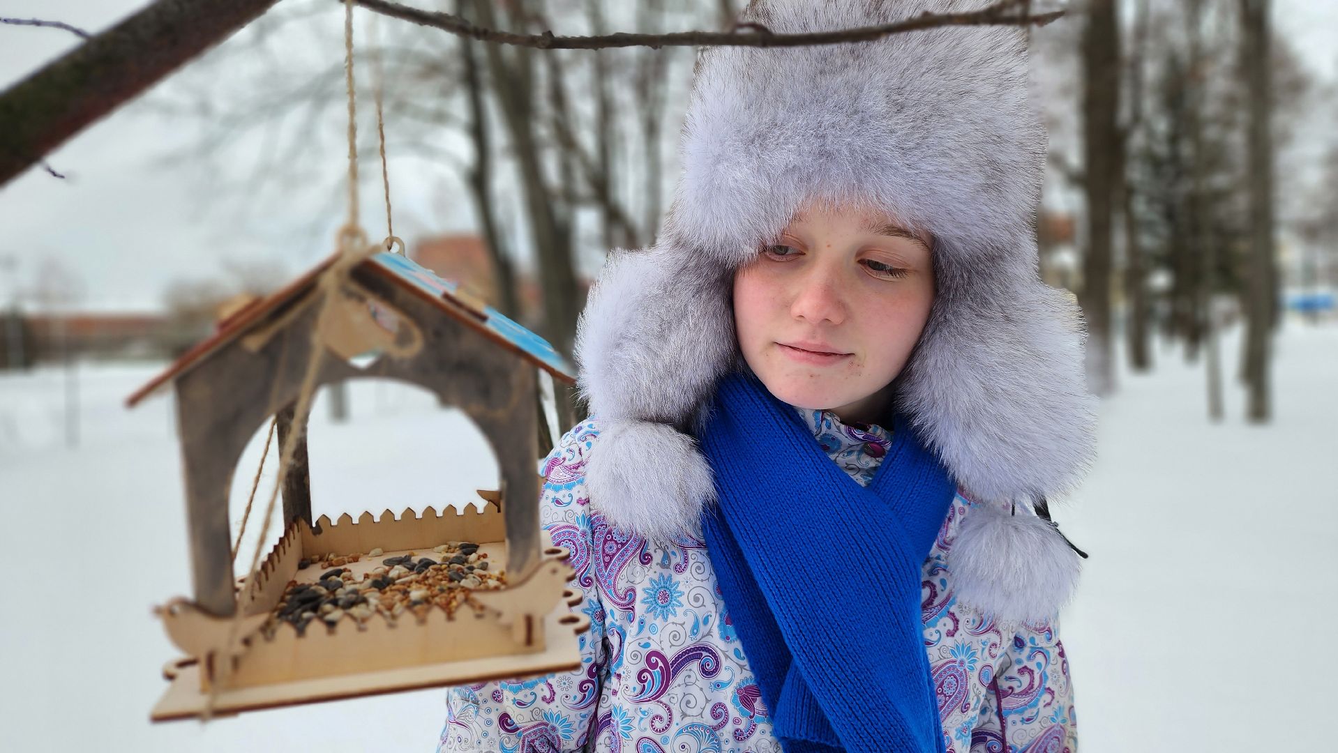 покормите птиц зимой, экологическая акция, Лосино-Петровский,