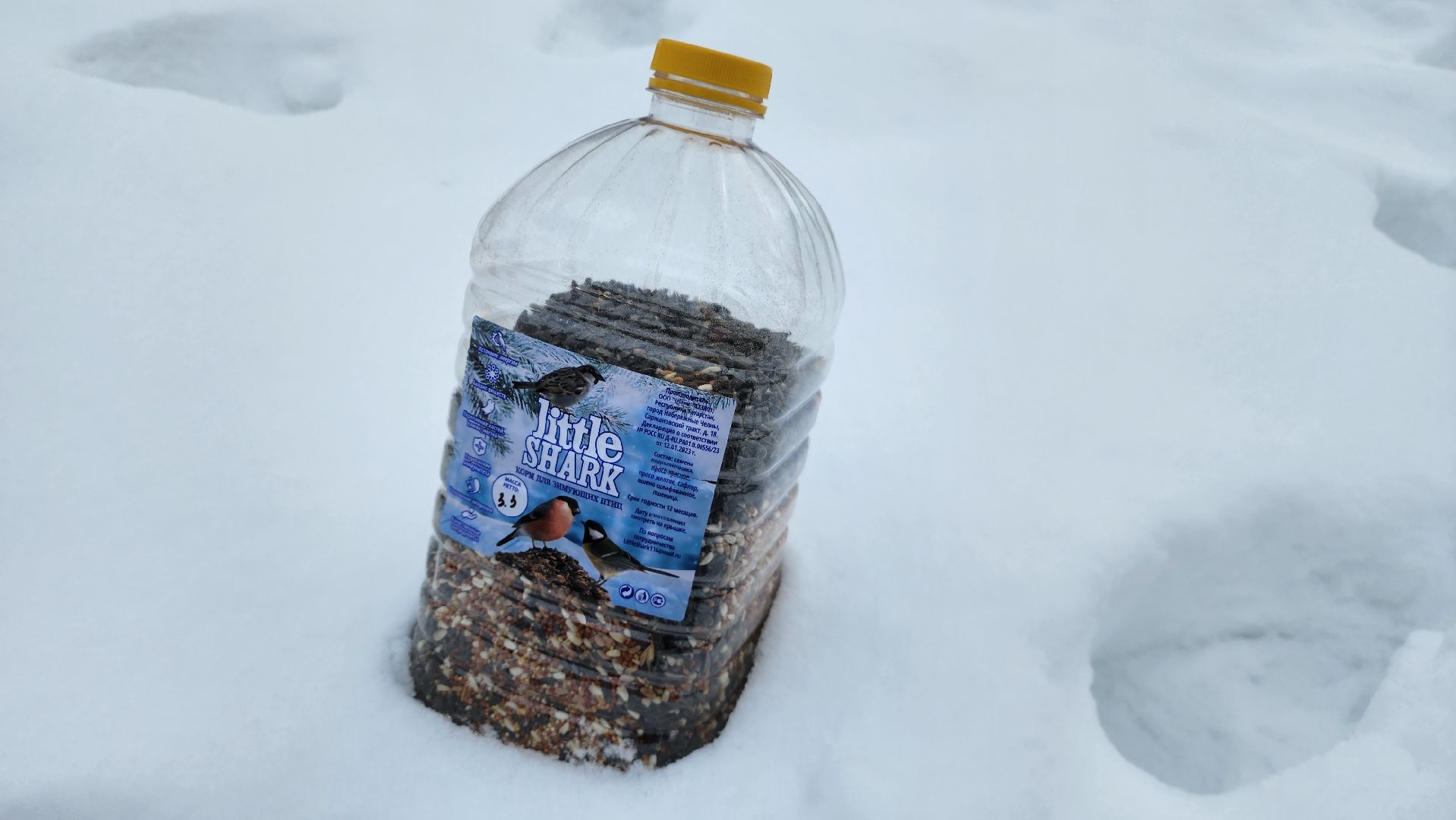 покормите птиц зимой, экологическая акция, Лосино-Петровский,