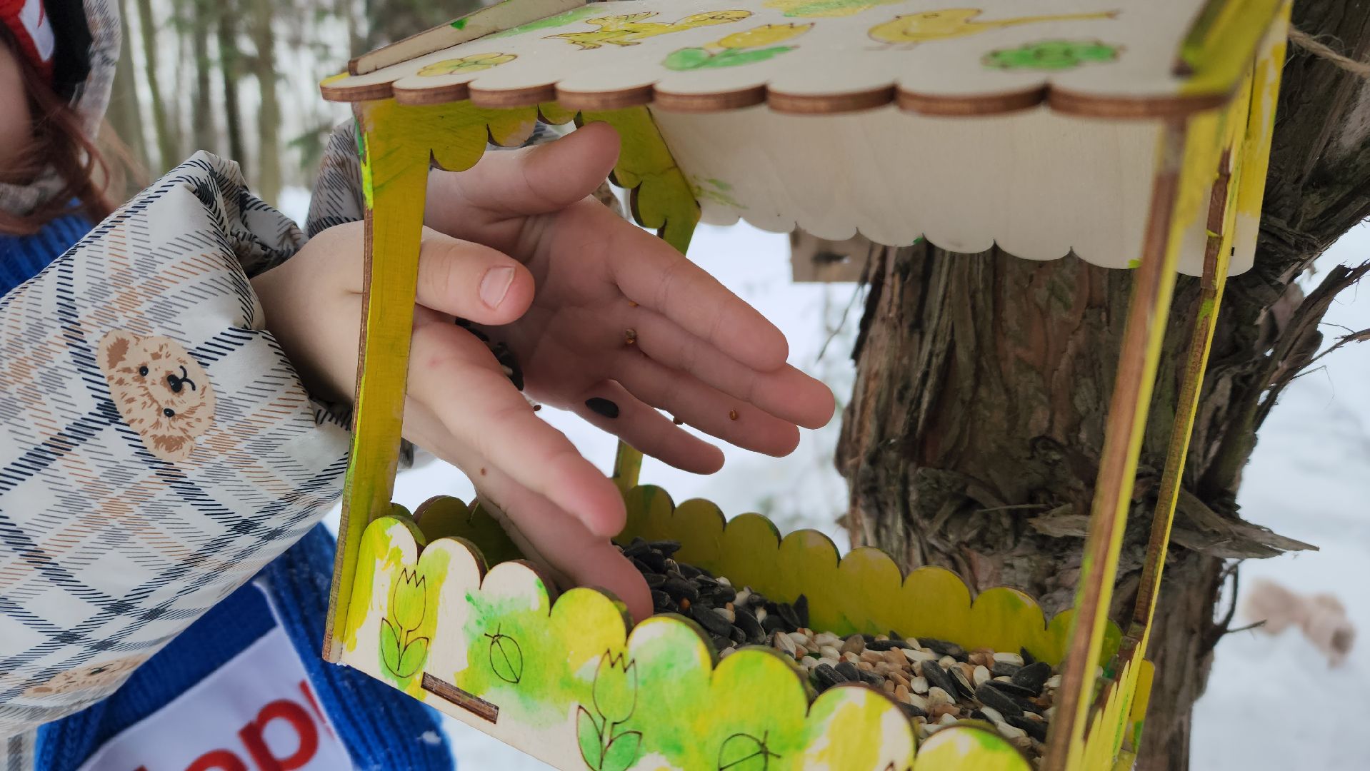 покормите птиц зимой, экологическая акция, Лосино-Петровский,