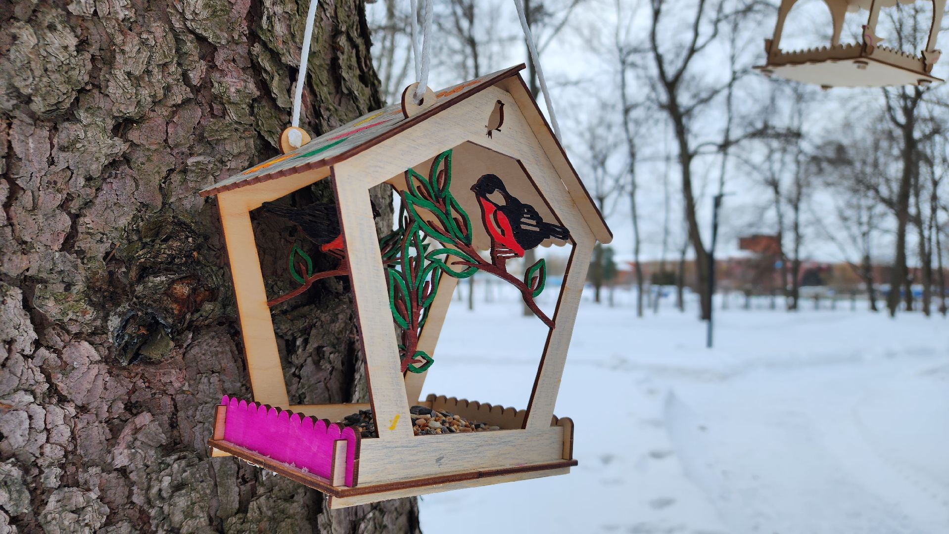 покормите птиц зимой, экологическая акция, Лосино-Петровский,