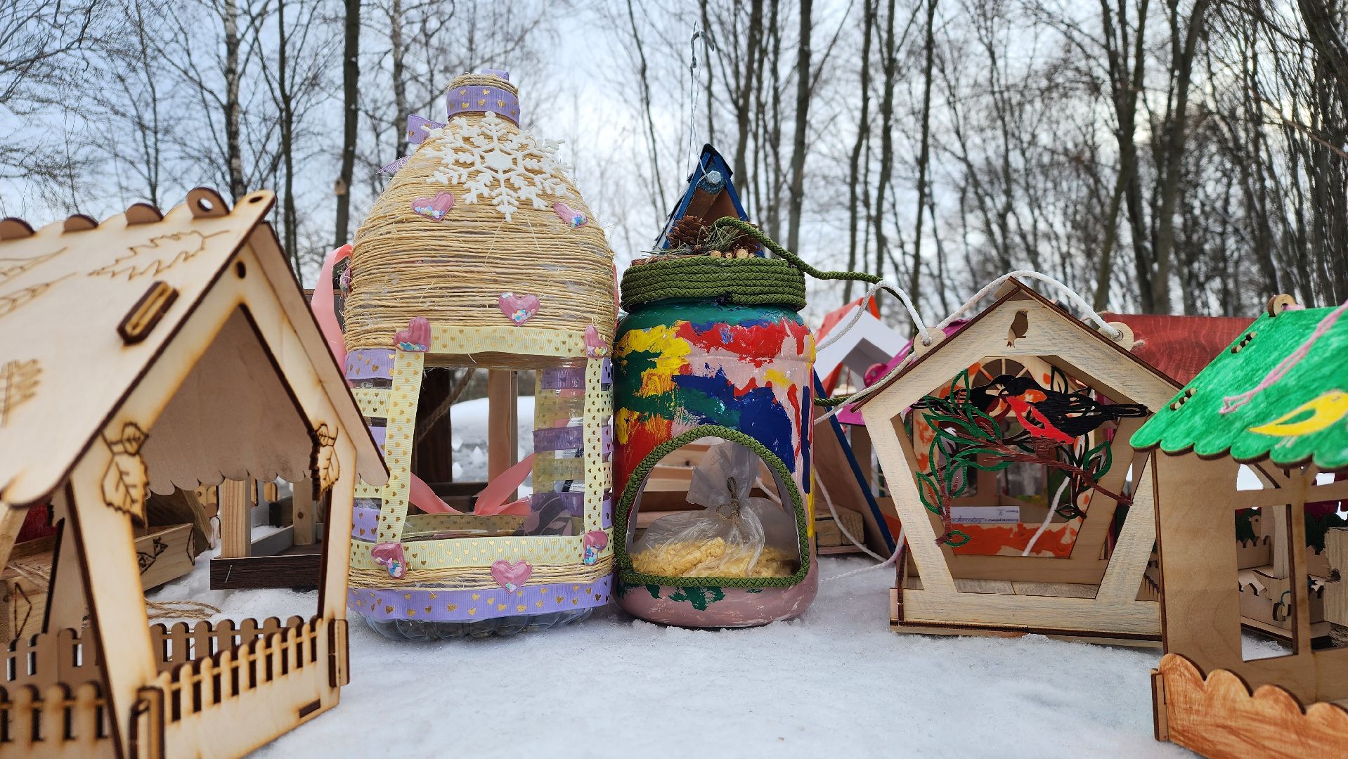 покормите птиц зимой, экологическая акция, Лосино-Петровский,