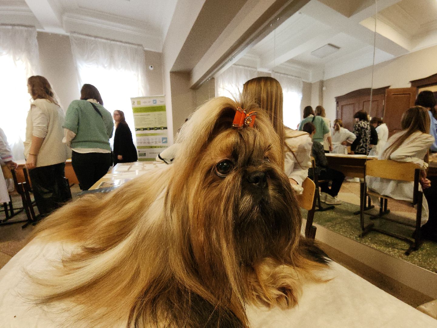 коломна, образование, профессии, профориентация для школьников,