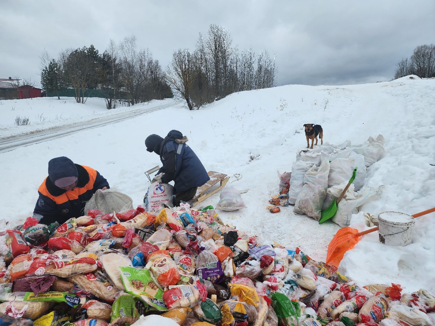 Серпухов, подмосковье, мусор, фермер,