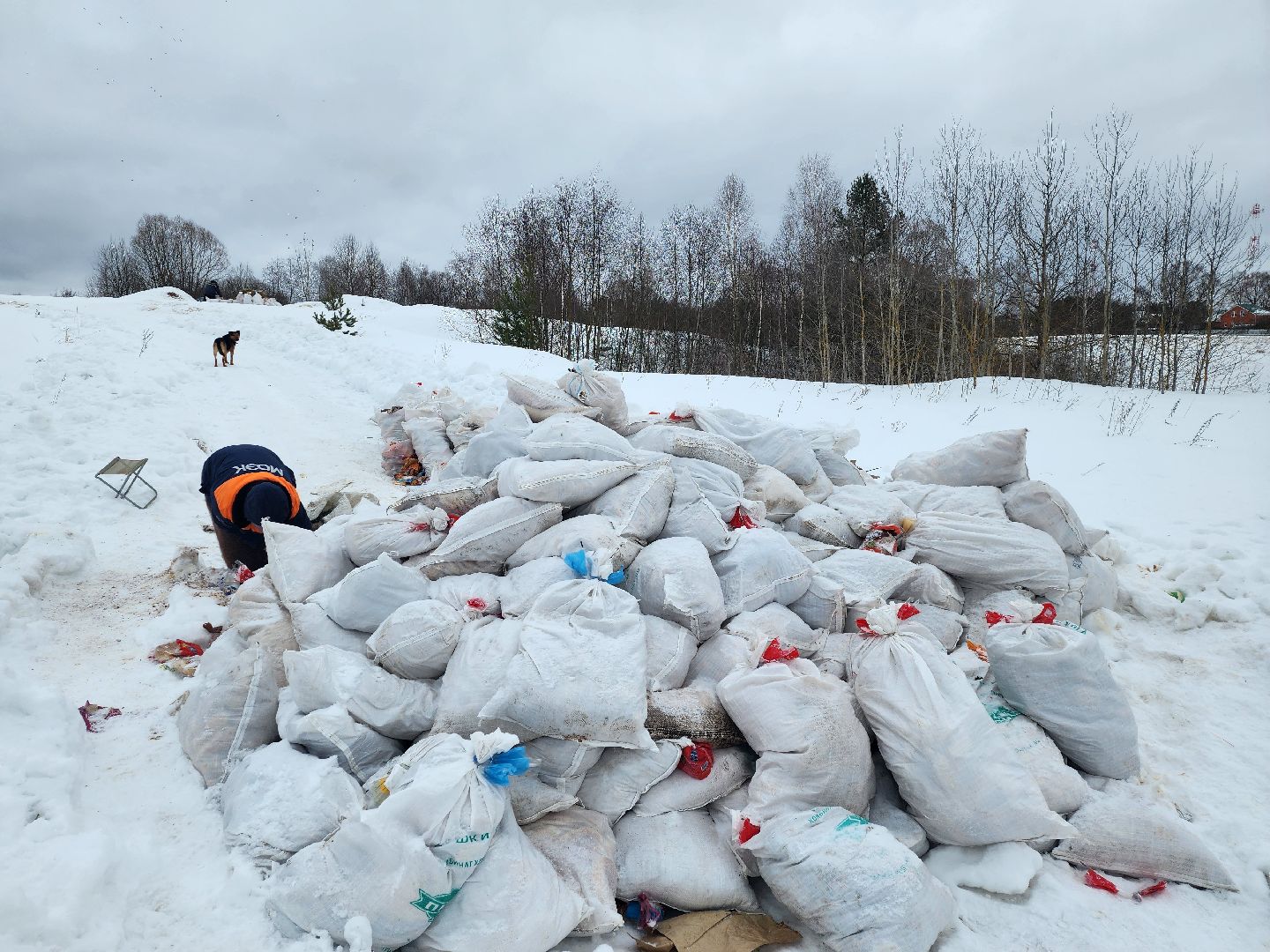 Серпухов, подмосковье, мусор, фермер,