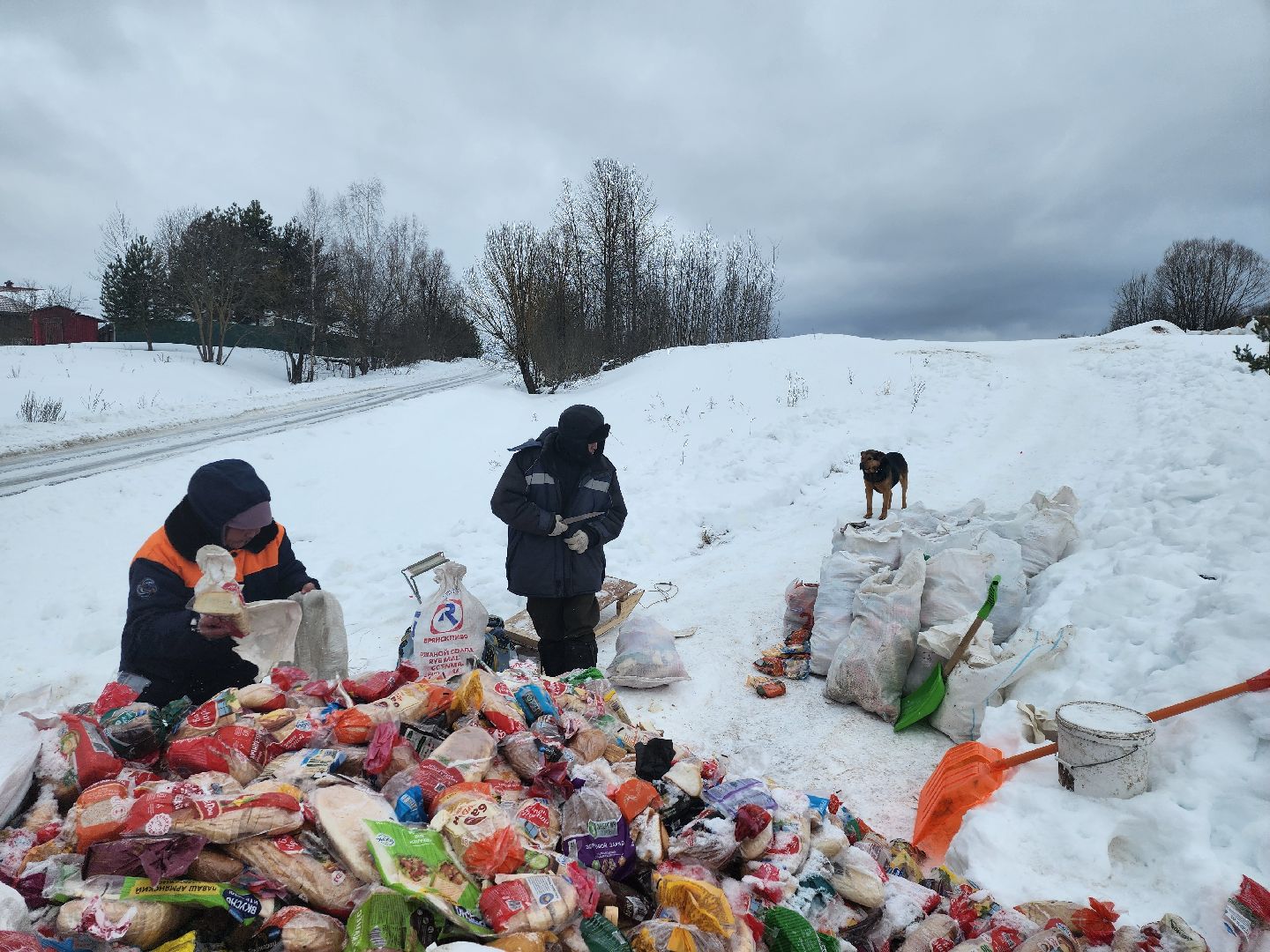 Серпухов, подмосковье, мусор, фермер,