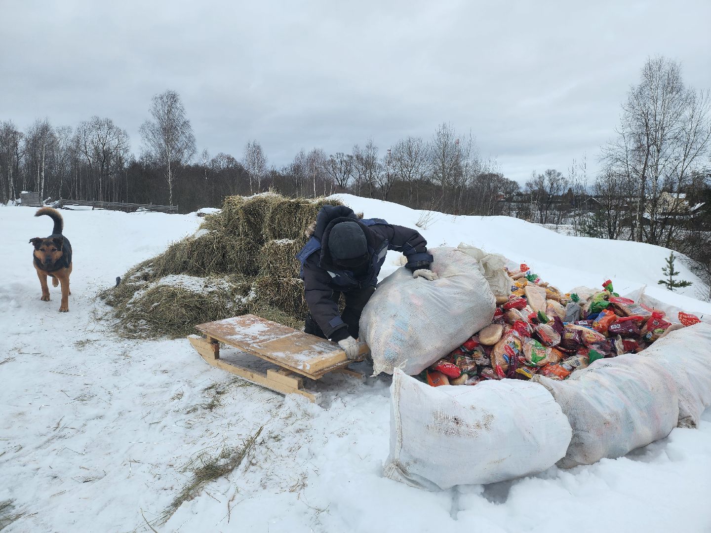 Серпухов, подмосковье, мусор, фермер,