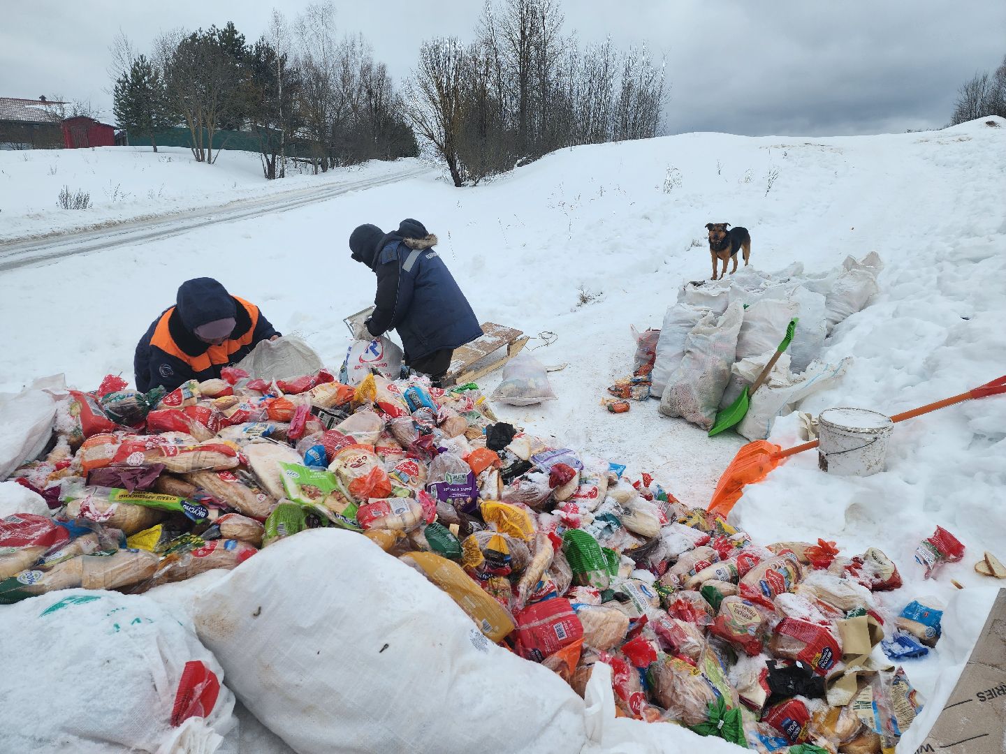 Серпухов, подмосковье, мусор, фермер,