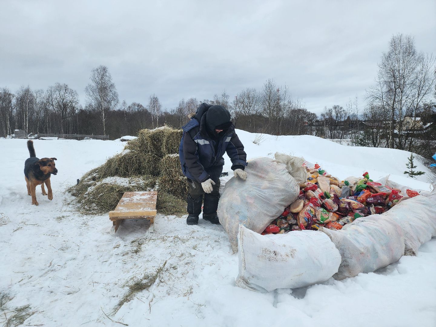 Серпухов, подмосковье, мусор, фермер,