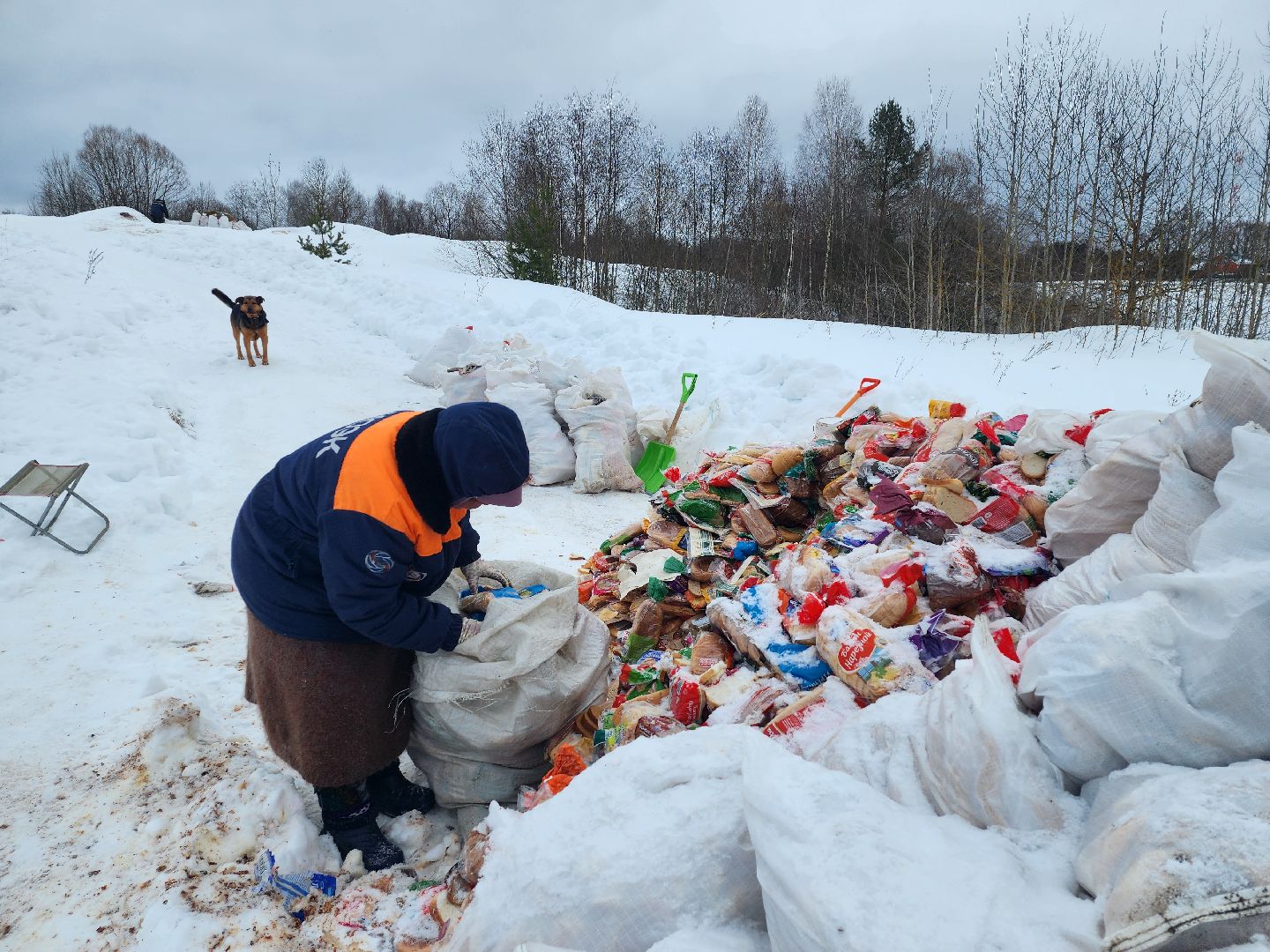 Серпухов, подмосковье, мусор, фермер,