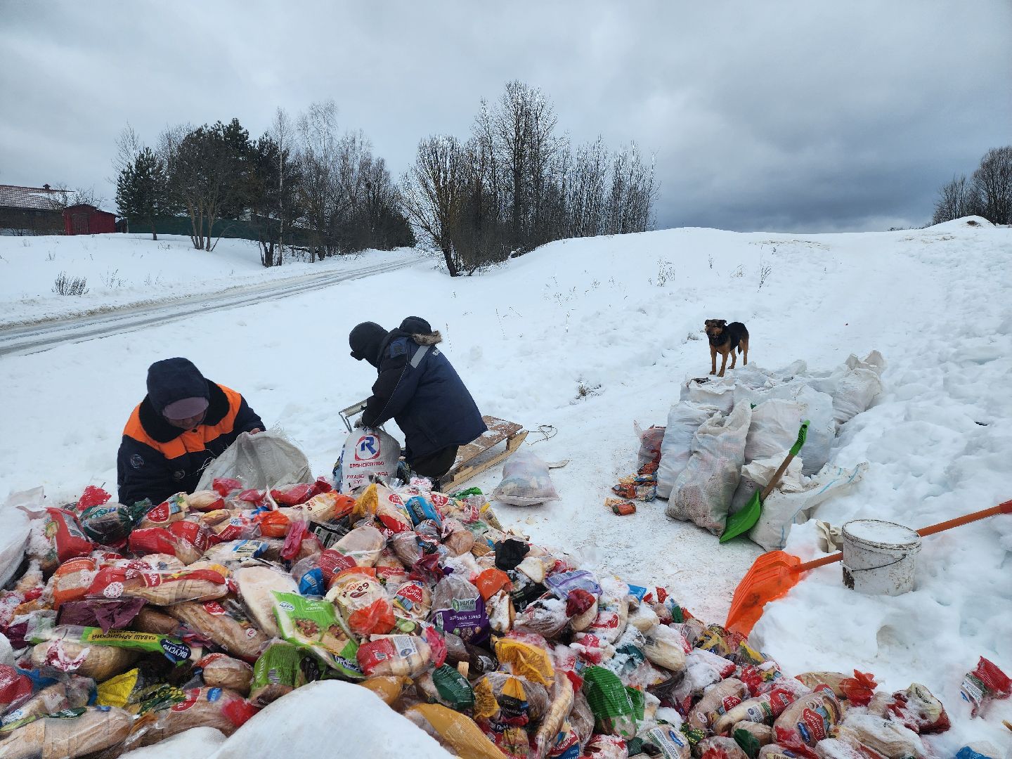 Серпухов, подмосковье, мусор, фермер,