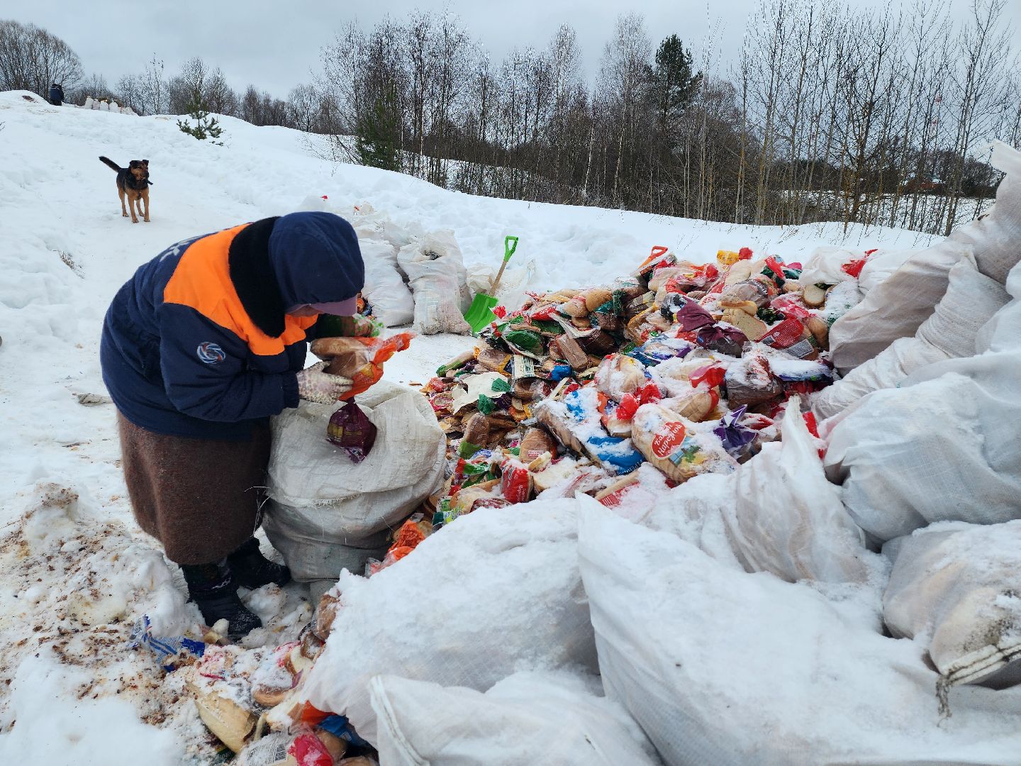 Серпухов, подмосковье, мусор, фермер,
