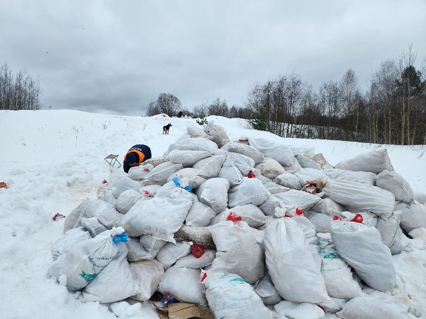 Серпухов, подмосковье, мусор, фермер,