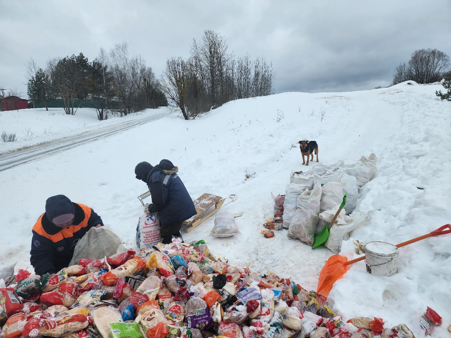 Серпухов, подмосковье, мусор, фермер,