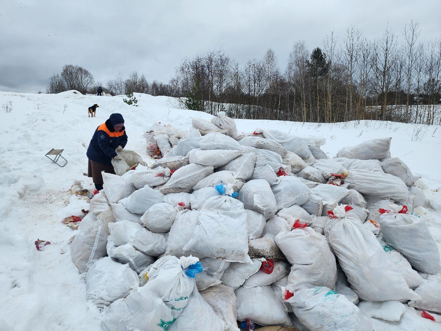 Серпухов, подмосковье, мусор, фермер,