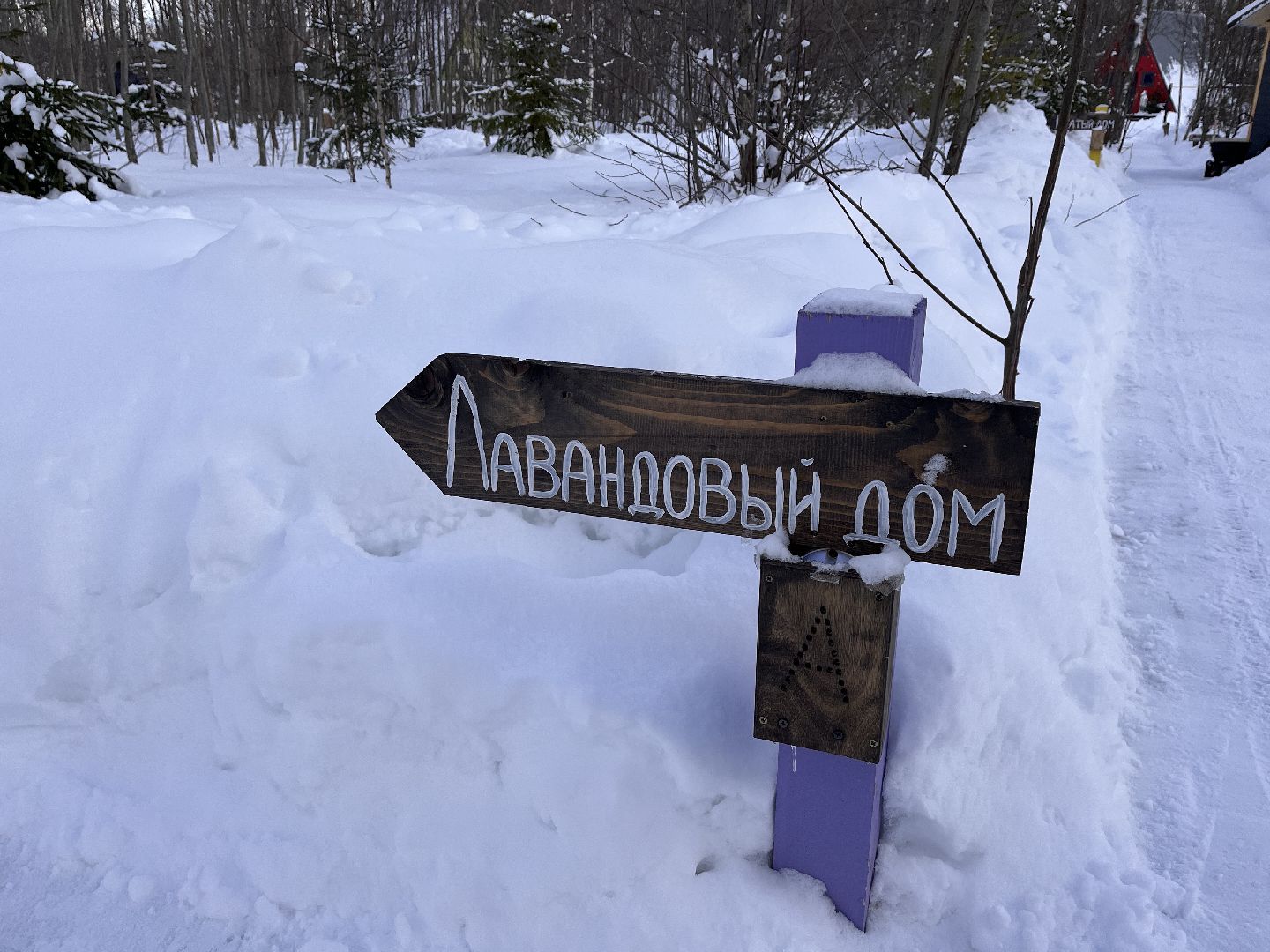 шаховская, глэмпинг, дом отдыха, Места отдыха,