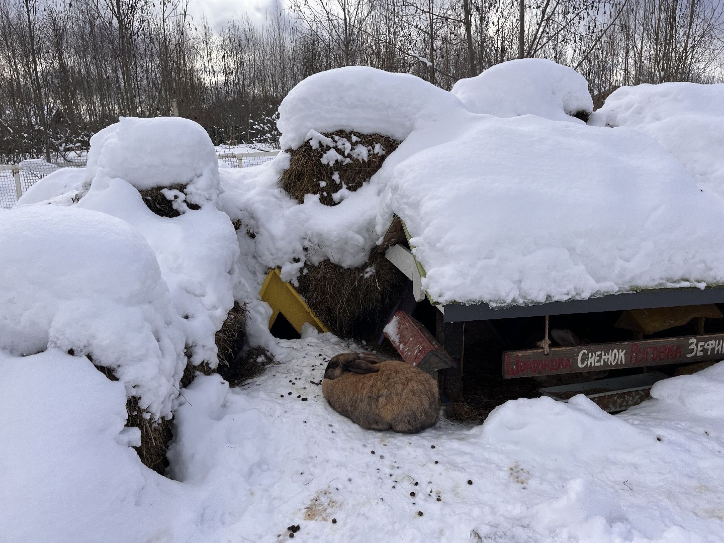 шаховская, глэмпинг, дом отдыха, Места отдыха,