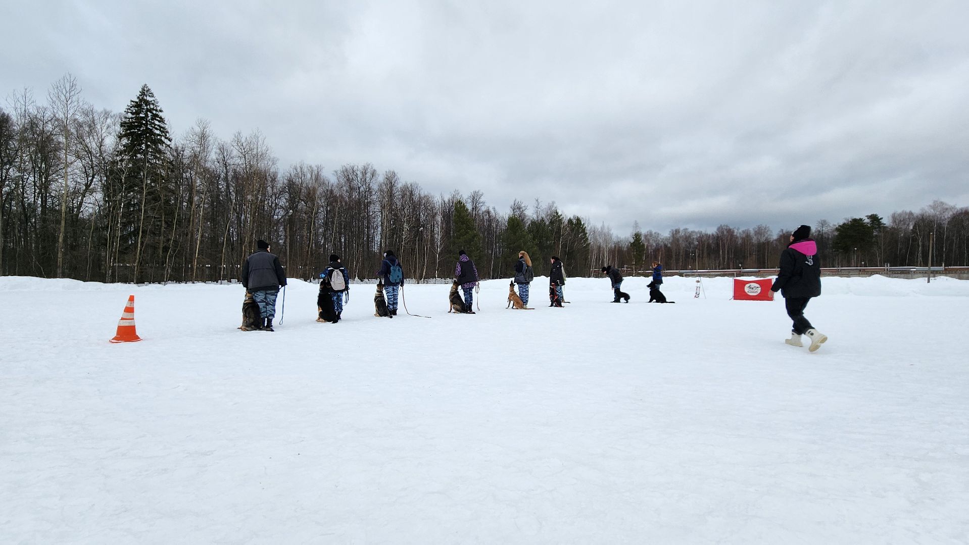 протвино, кинологи, губернский колледж, образование, образование подмосковья,