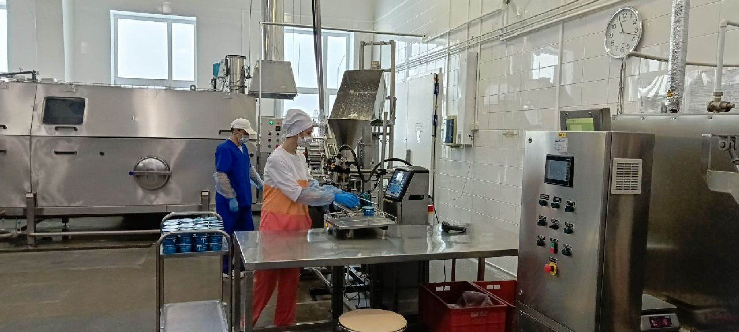 Дмитров, Молокозавод братьев Чебурашкиных, Минсельхоз,