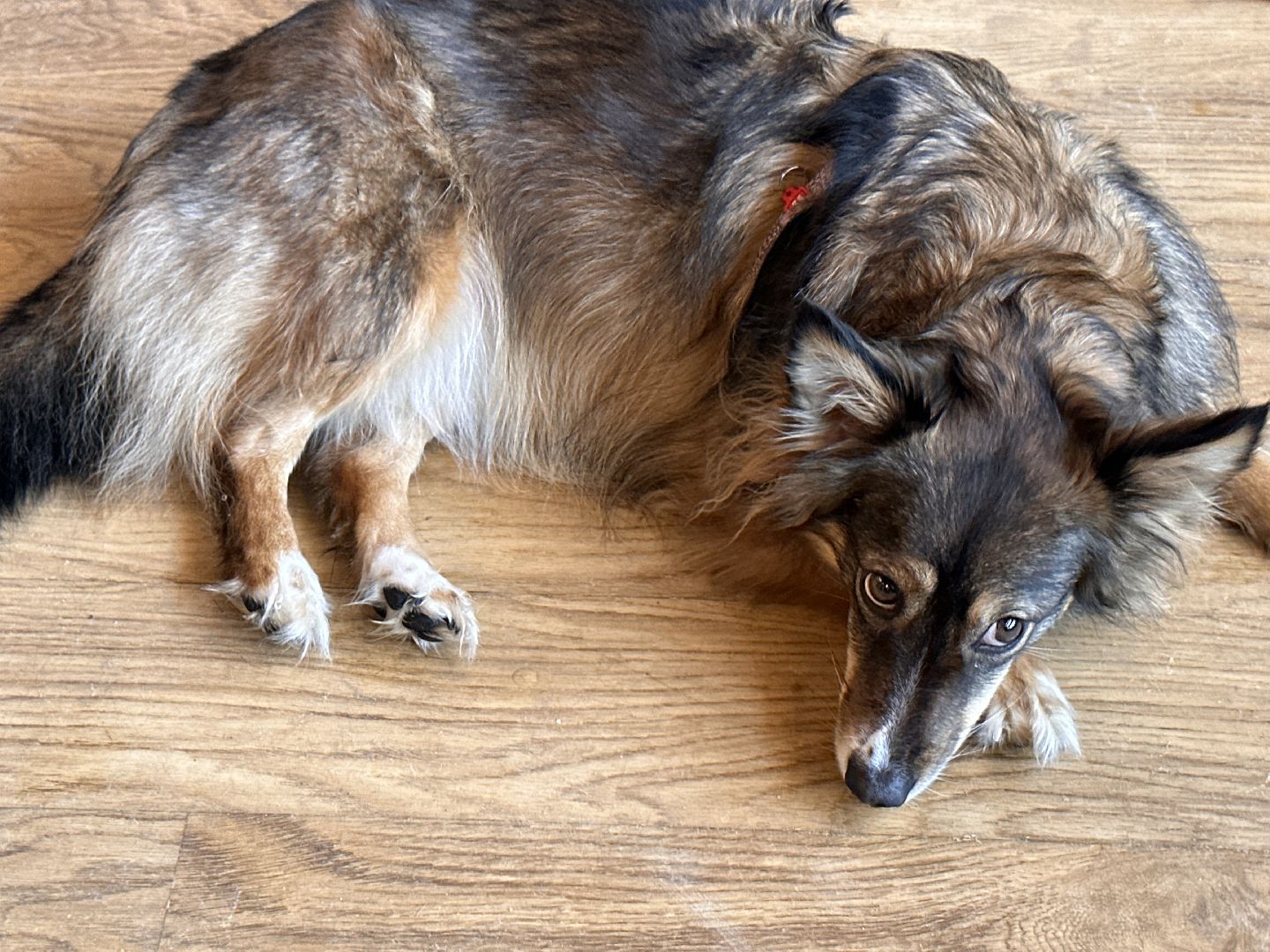 бизнес в подмосковье, кофейня, Одинцово,