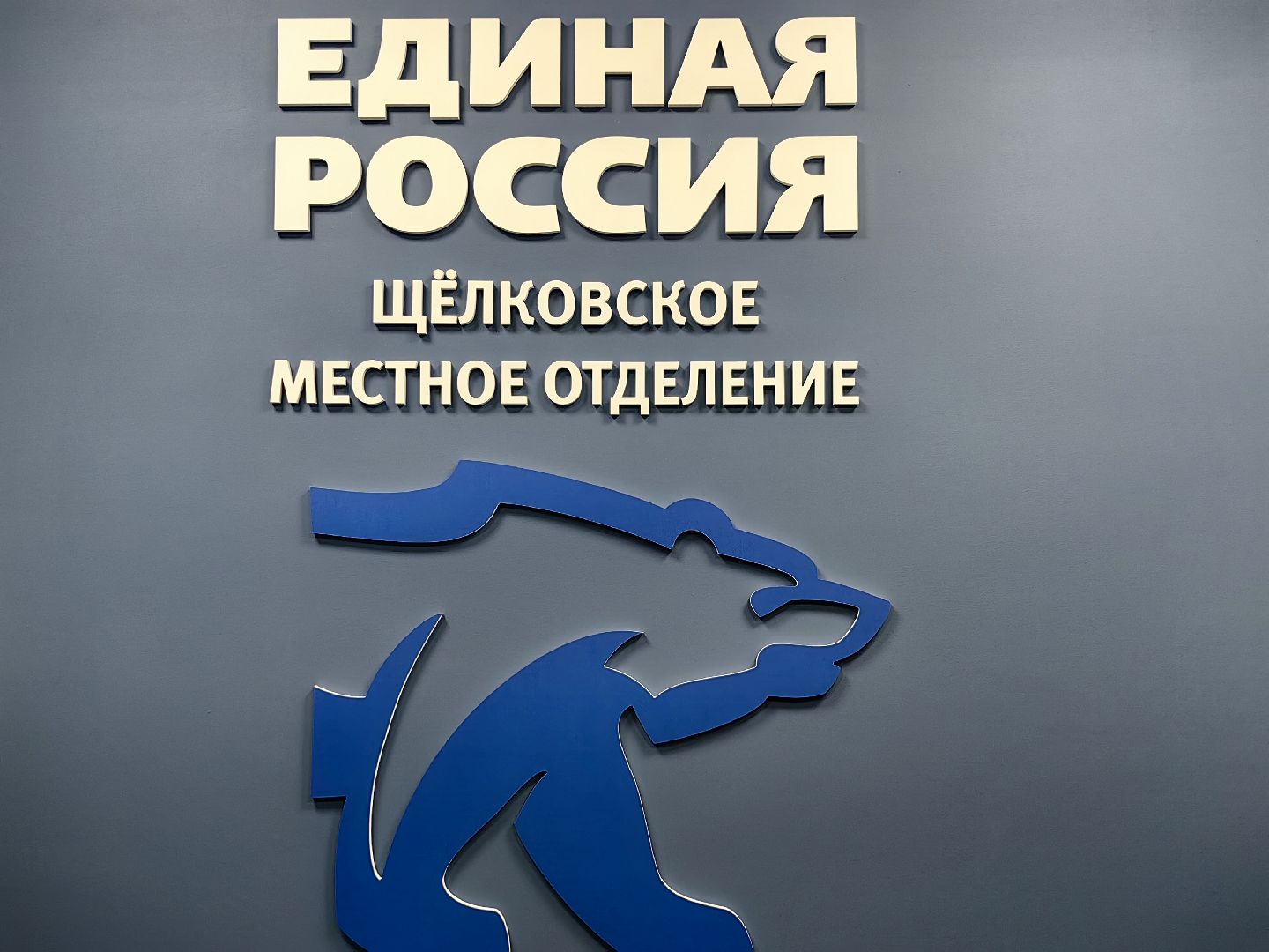 молодогвардейцы, гуманитарная помощь, СВО, маскировочные сети,