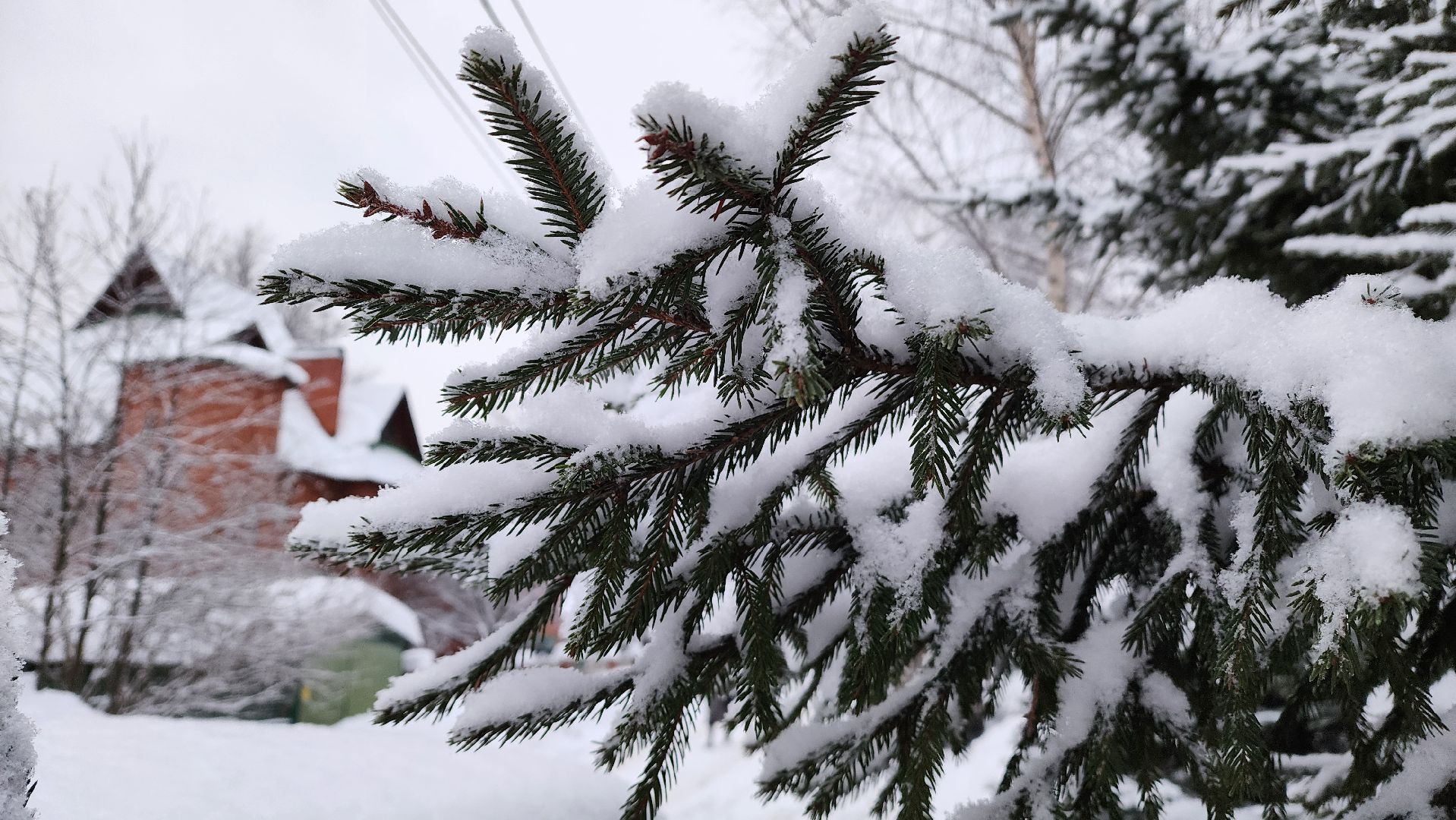 Подмосковье, Городской округ Пушкинский, Ивантеевка, Циклон Ольга, Снегопад, Погода,