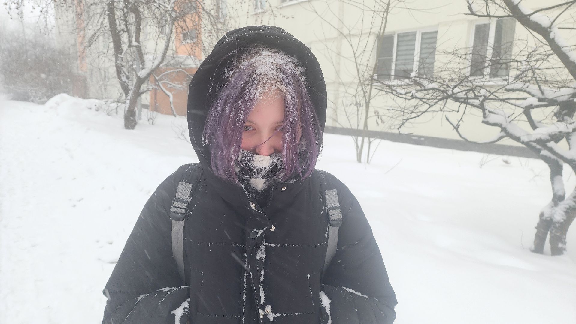 Подмосковье, Городской округ Пушкинский, Ивантеевка, Погода, циклон ольга, городское хозяйство ивантеевка,