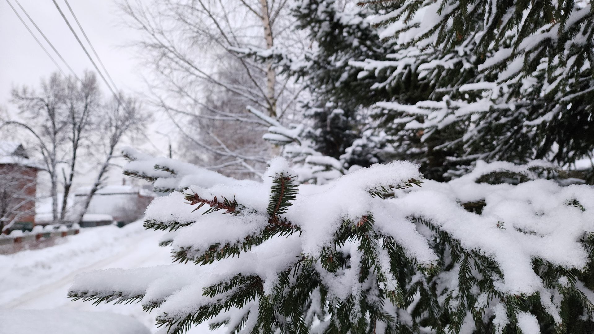 Подмосковье, Городской округ Пушкинский, Ивантеевка, Погода, циклон ольга, городское хозяйство ивантеевка,