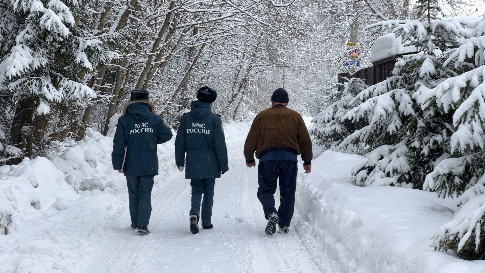 Солнечногорск, пожарная безопасность, листовки, Лекции, Пожнадзор,
