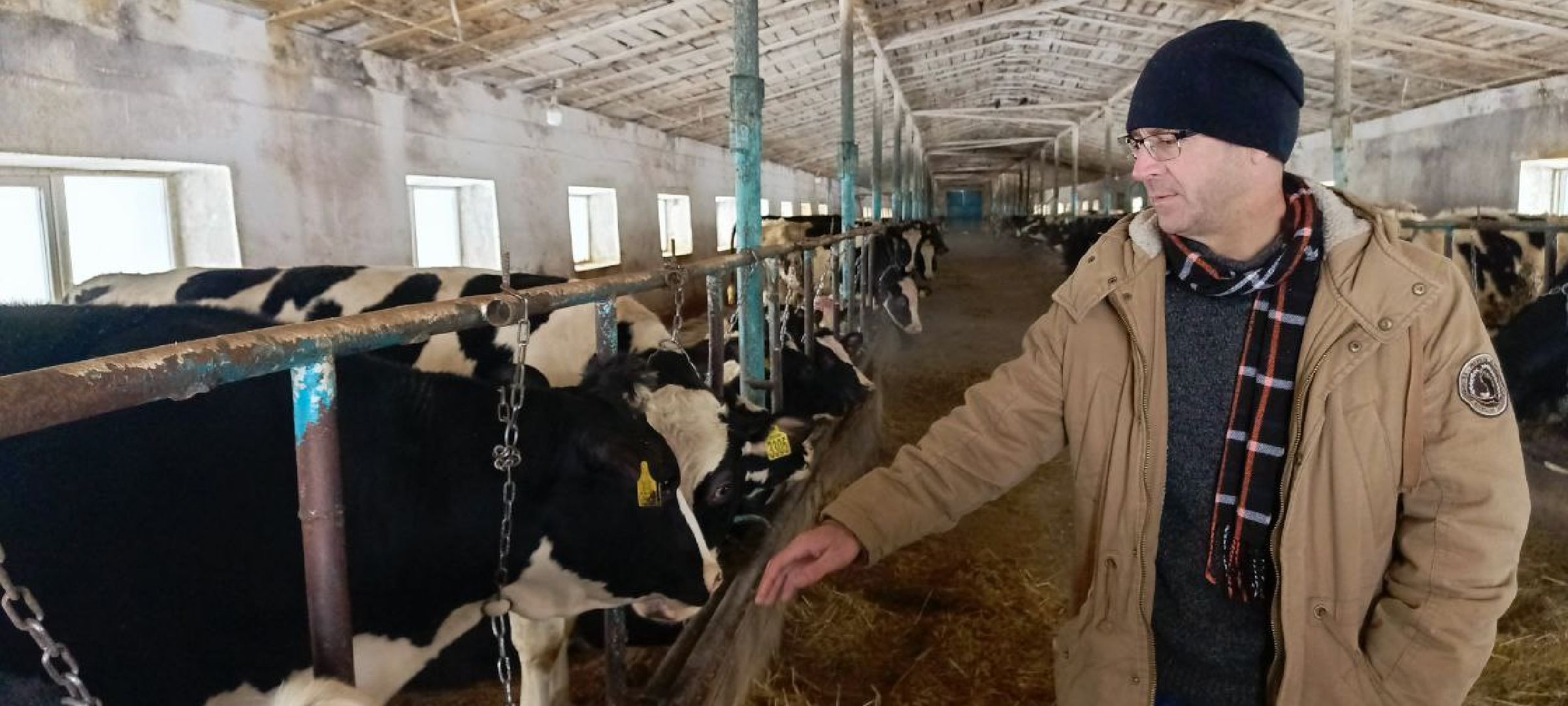 Дмитров, Агрофирма Дубна плюс, Минсельхоз,