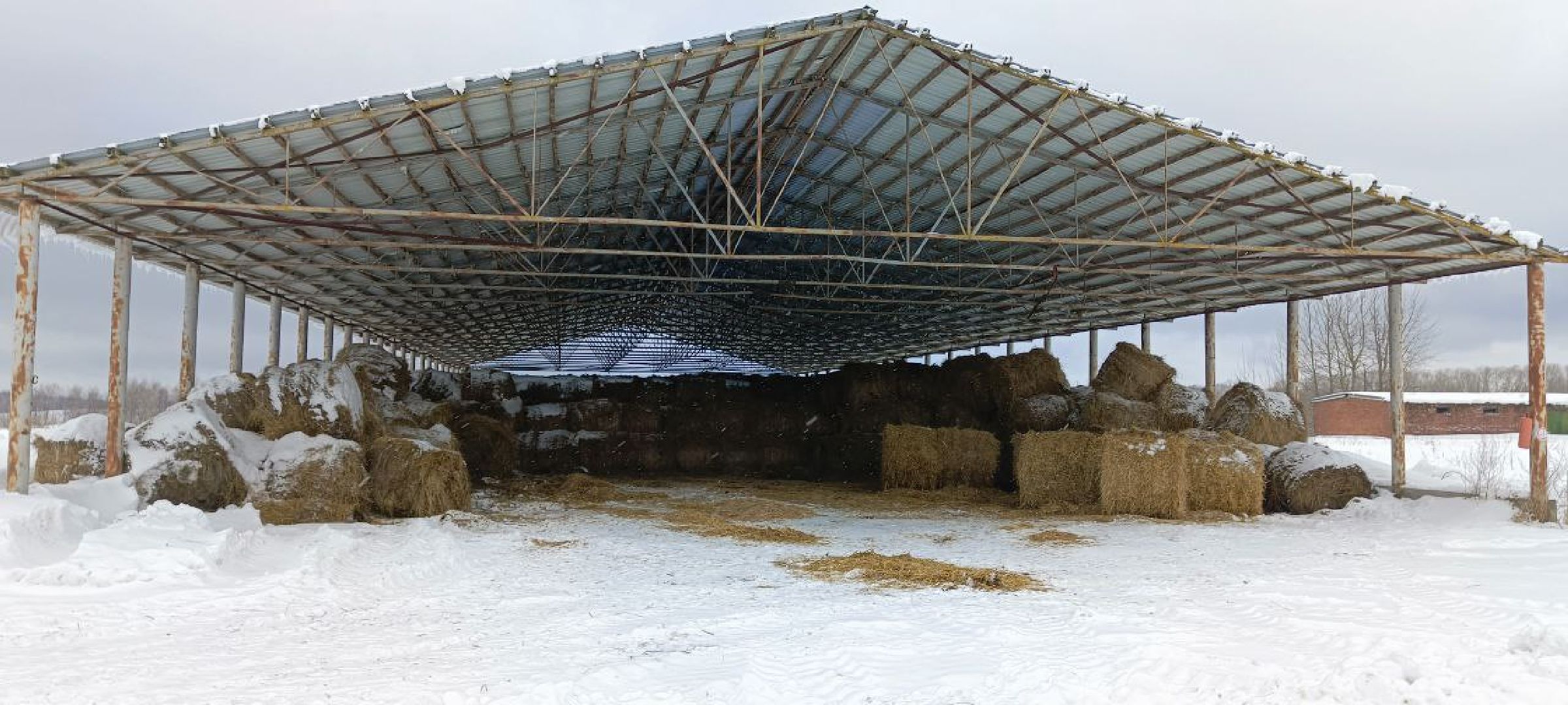 Дмитров, Агрофирма Дубна плюс, Минсельхоз,