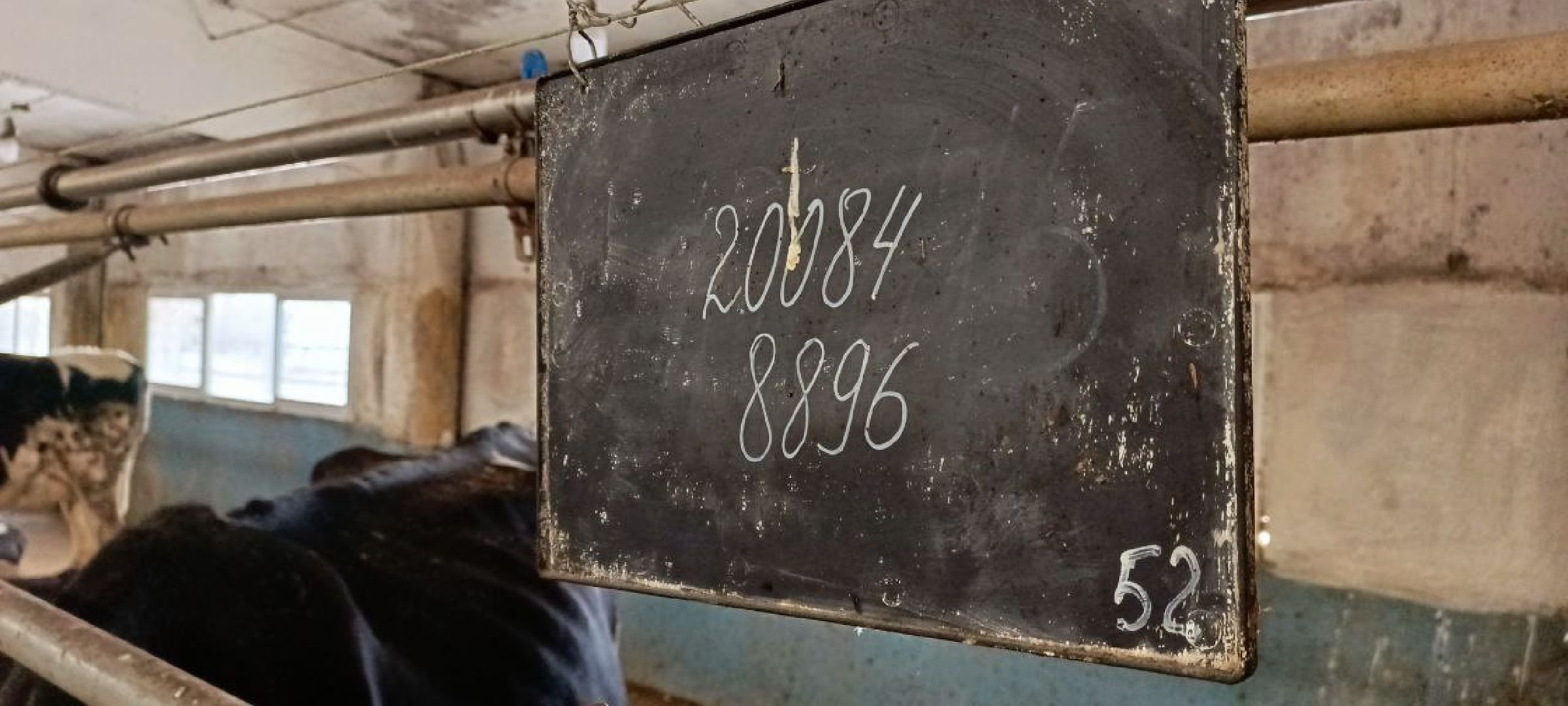 Дмитров, Агрофирма Дубна плюс, Минсельхоз,