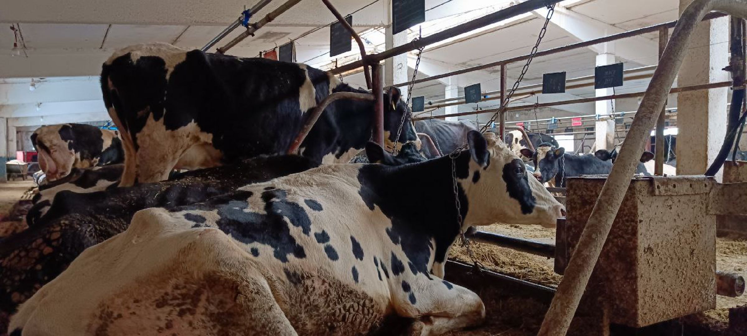 Дмитров, Агрофирма Дубна плюс, Минсельхоз,