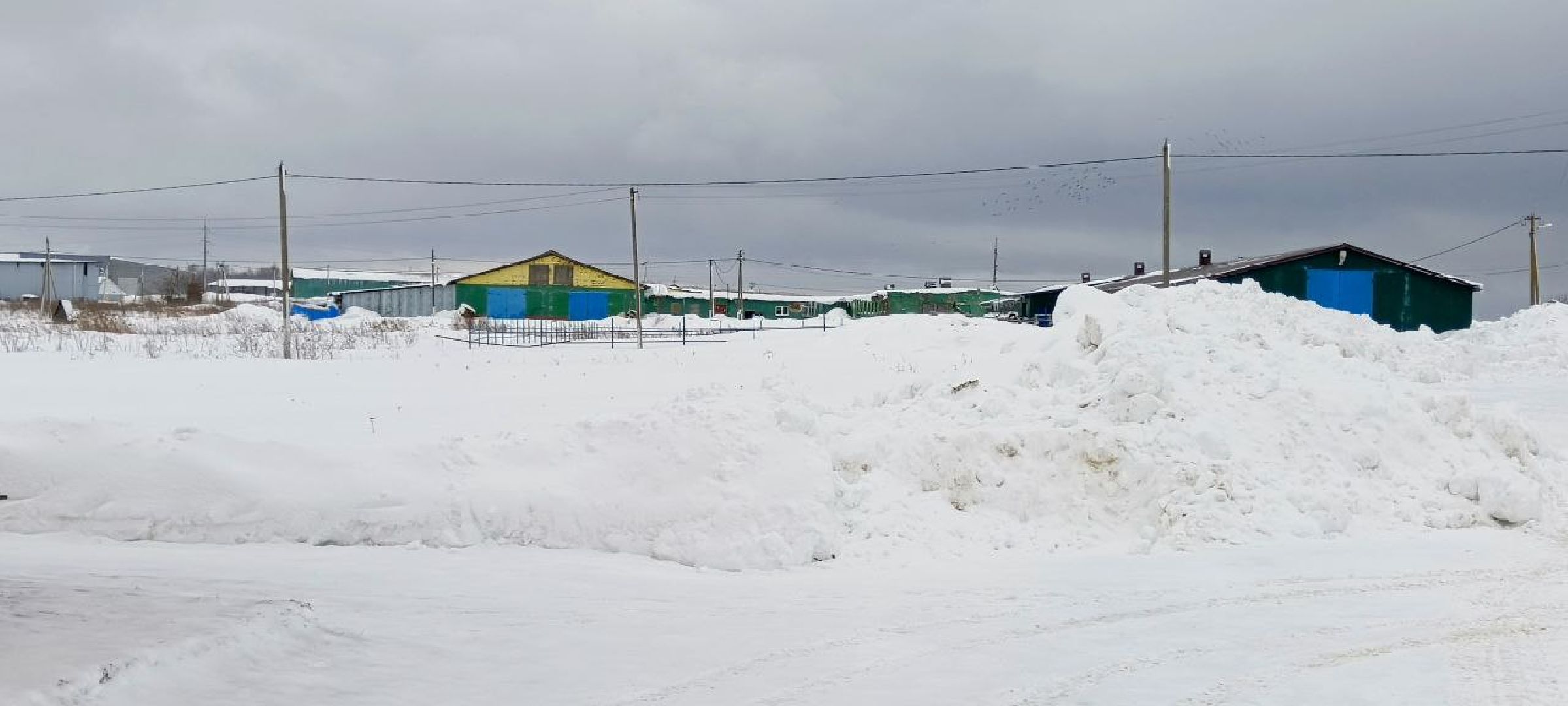 Дмитров, Агрофирма Дубна плюс, Минсельхоз,