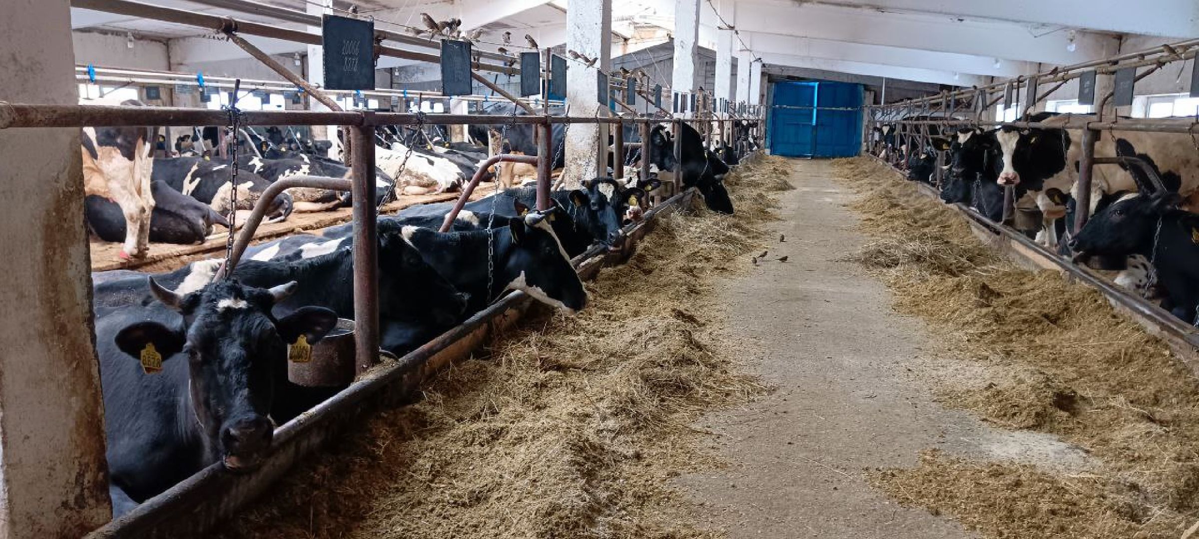 Дмитров, Агрофирма Дубна плюс, Минсельхоз,