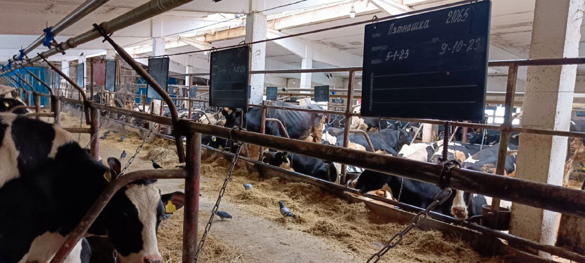 Дмитров, Агрофирма Дубна плюс, Минсельхоз,